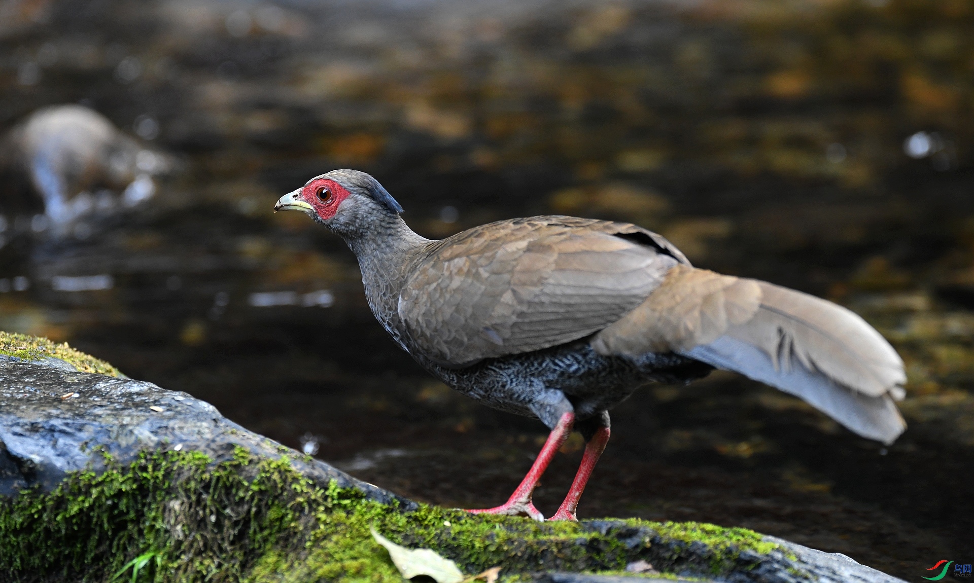 DSC_7086.jpg