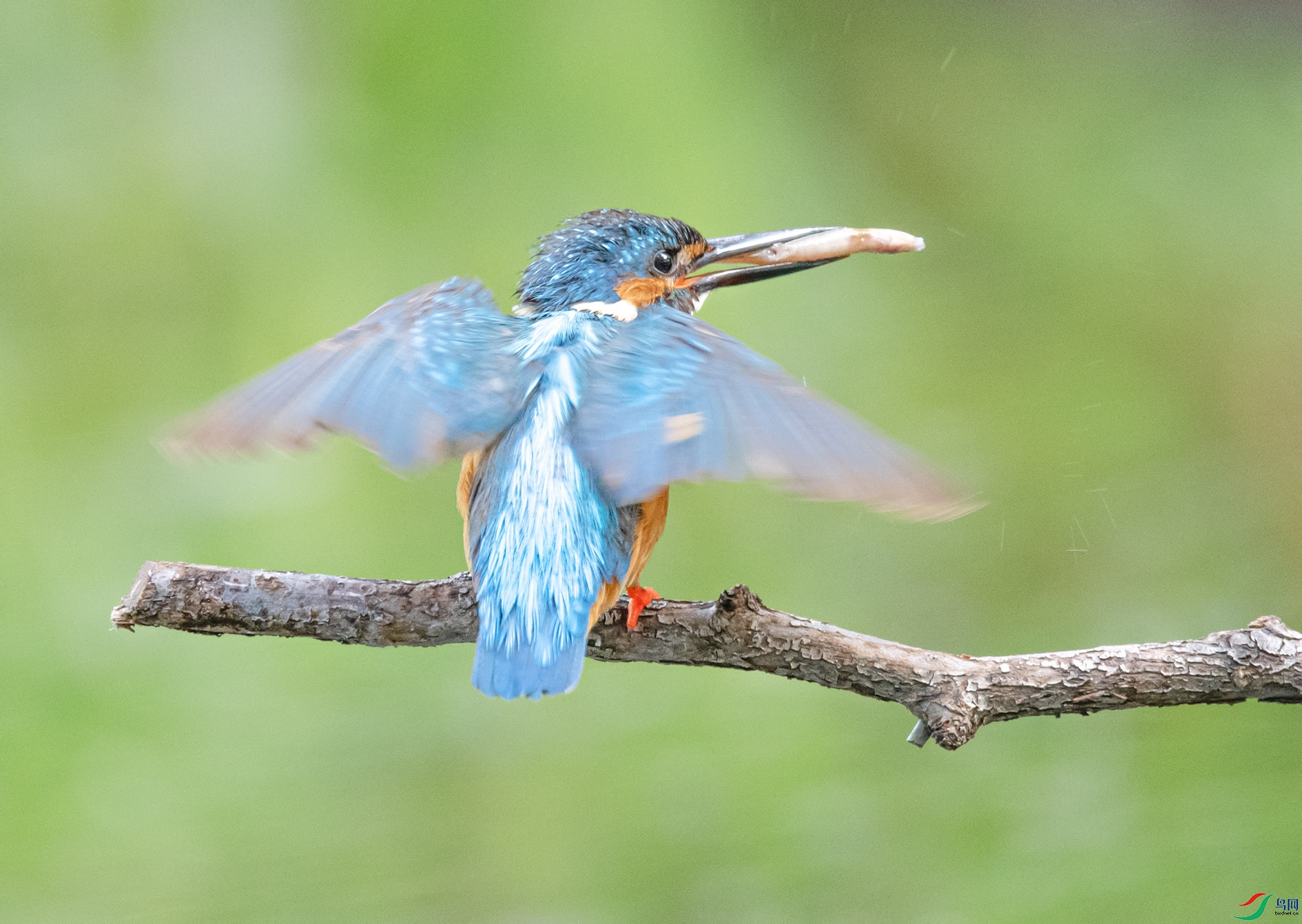 _DSC1316 ����.jpg