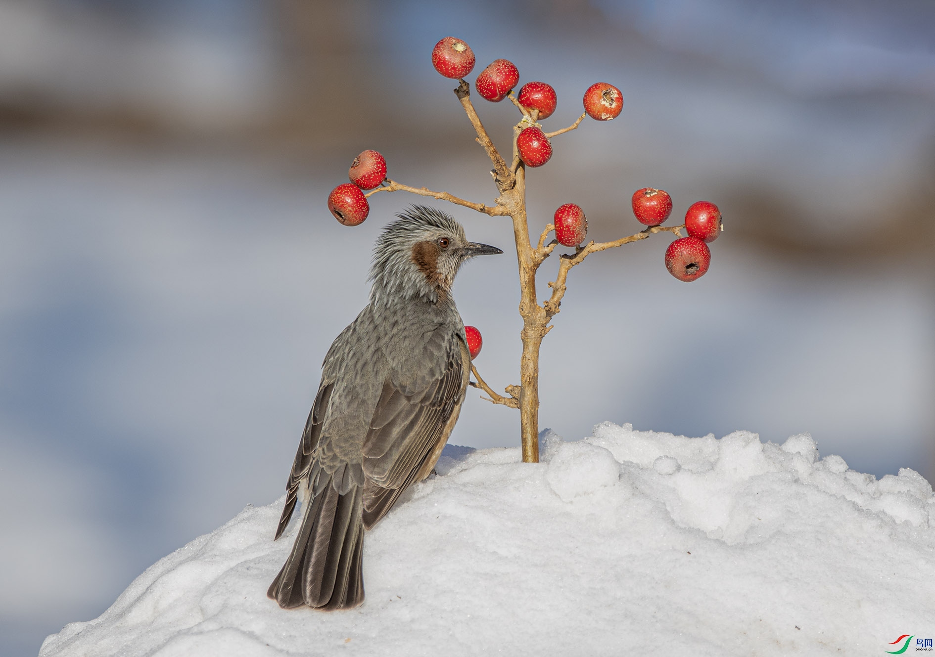 DSC_0728_��ͼ�� ����.jpg