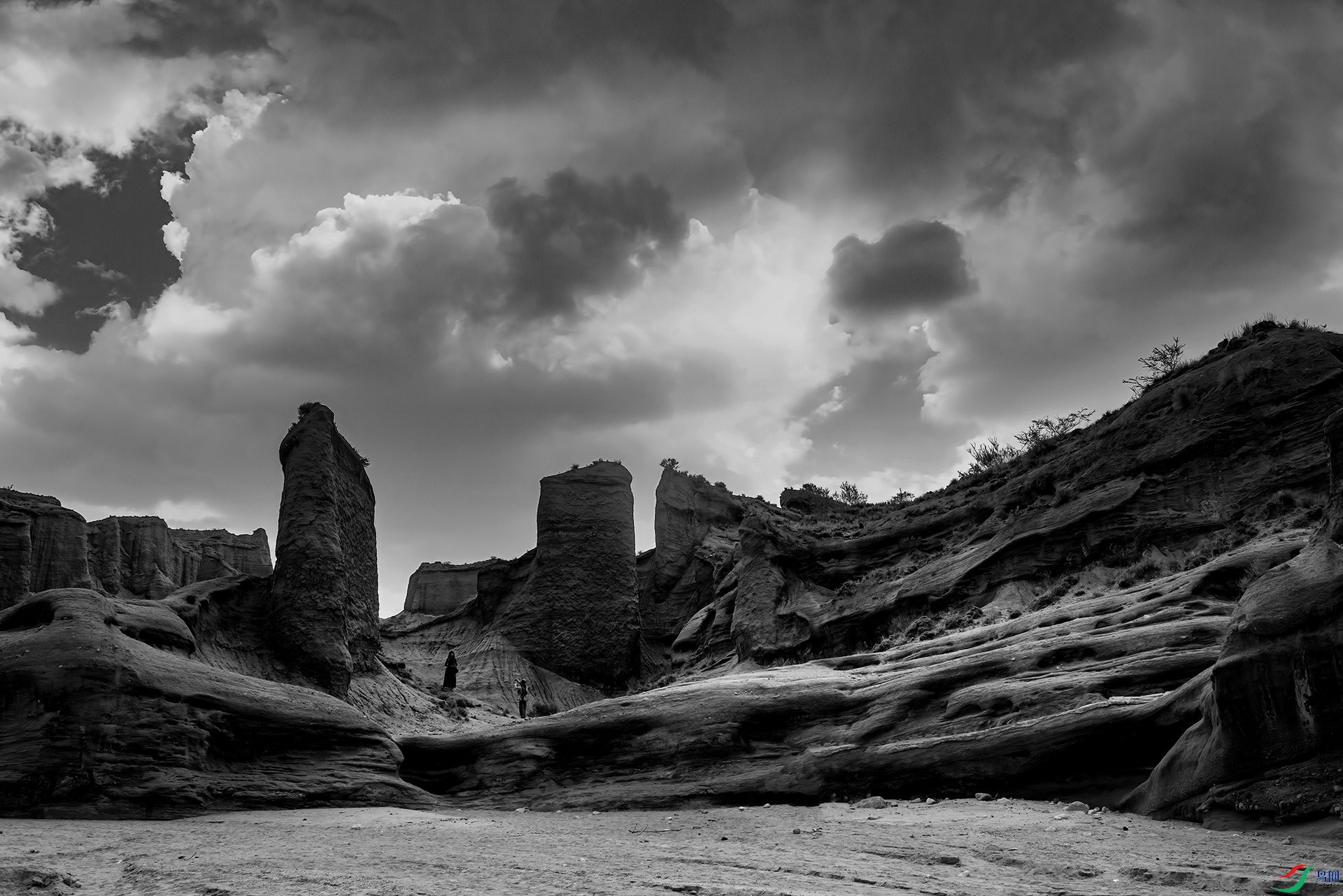 _DSC7104- ������ľ����Ͽ��.jpg