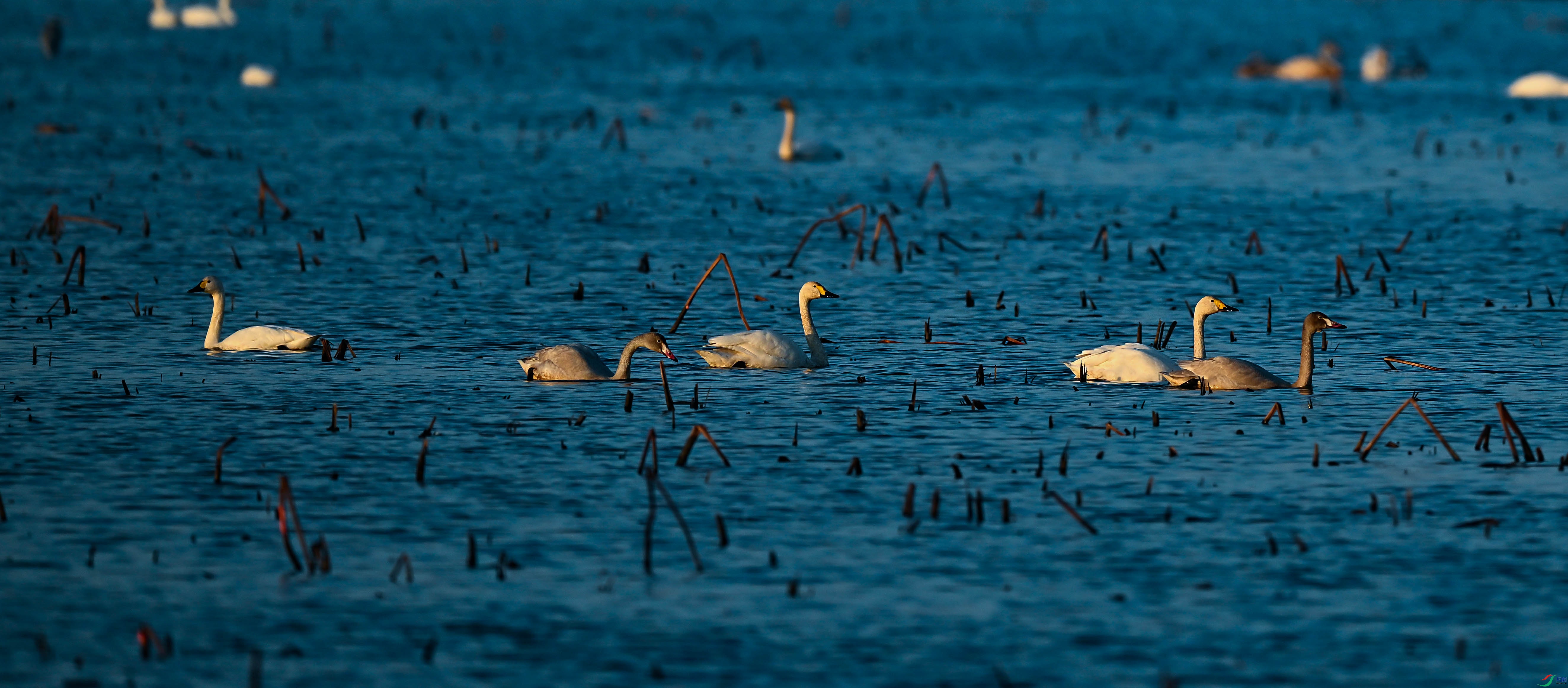 DSC_2985.jpg