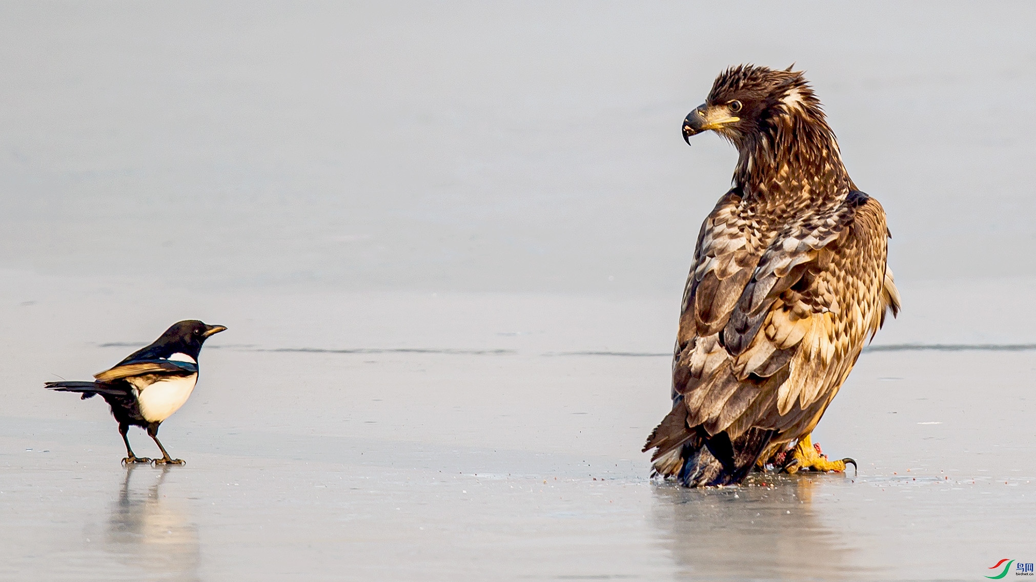 _MG_0552 ����.jpg