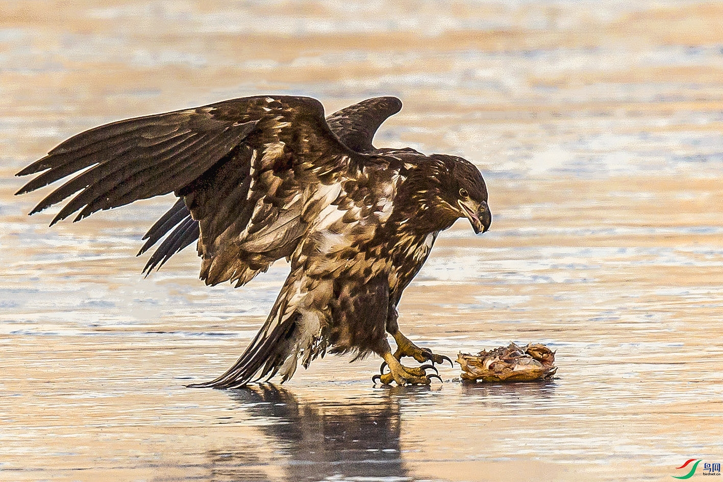 _MG_0956 ���� 3.jpg