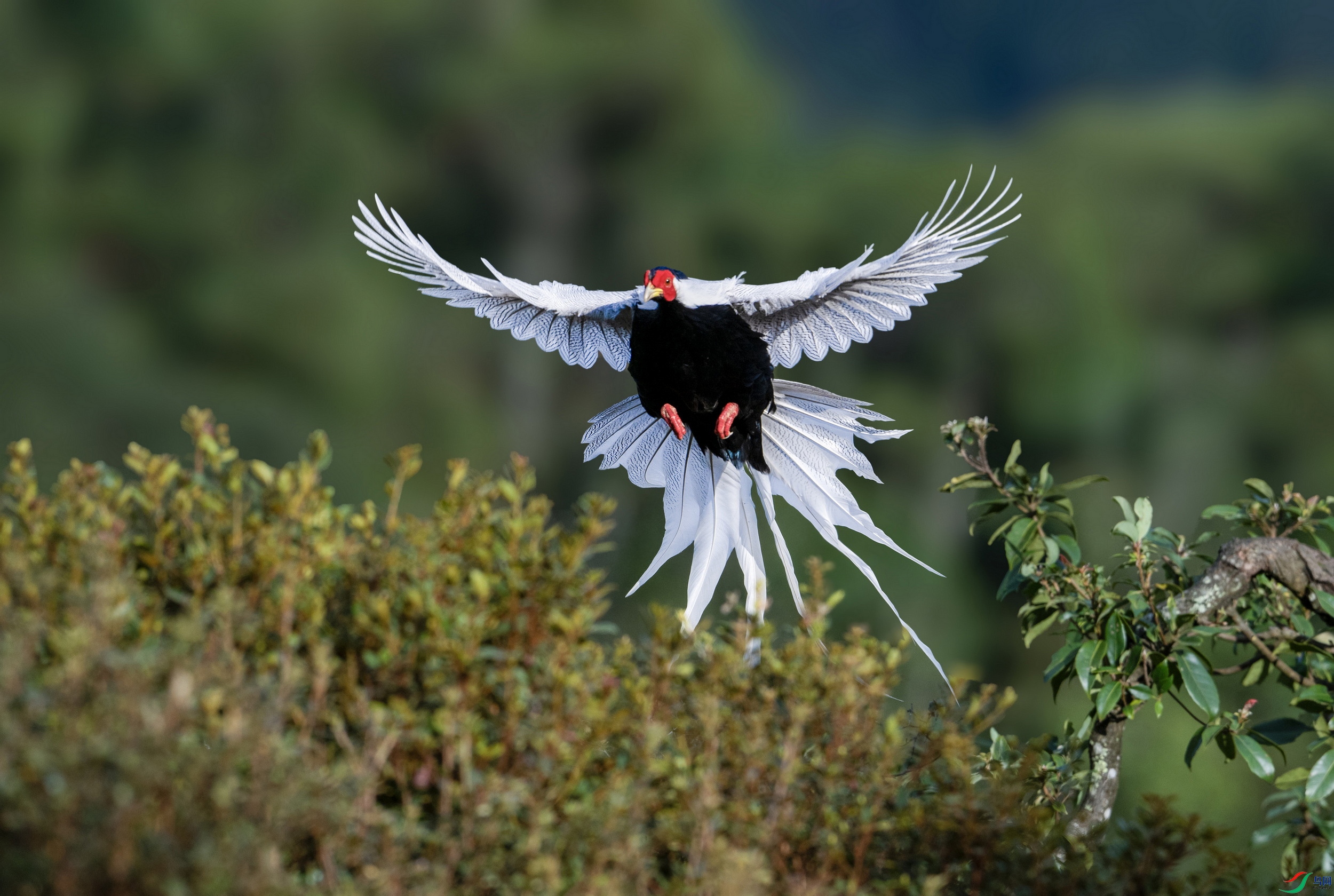 DSC_9846 ����xx.jpg