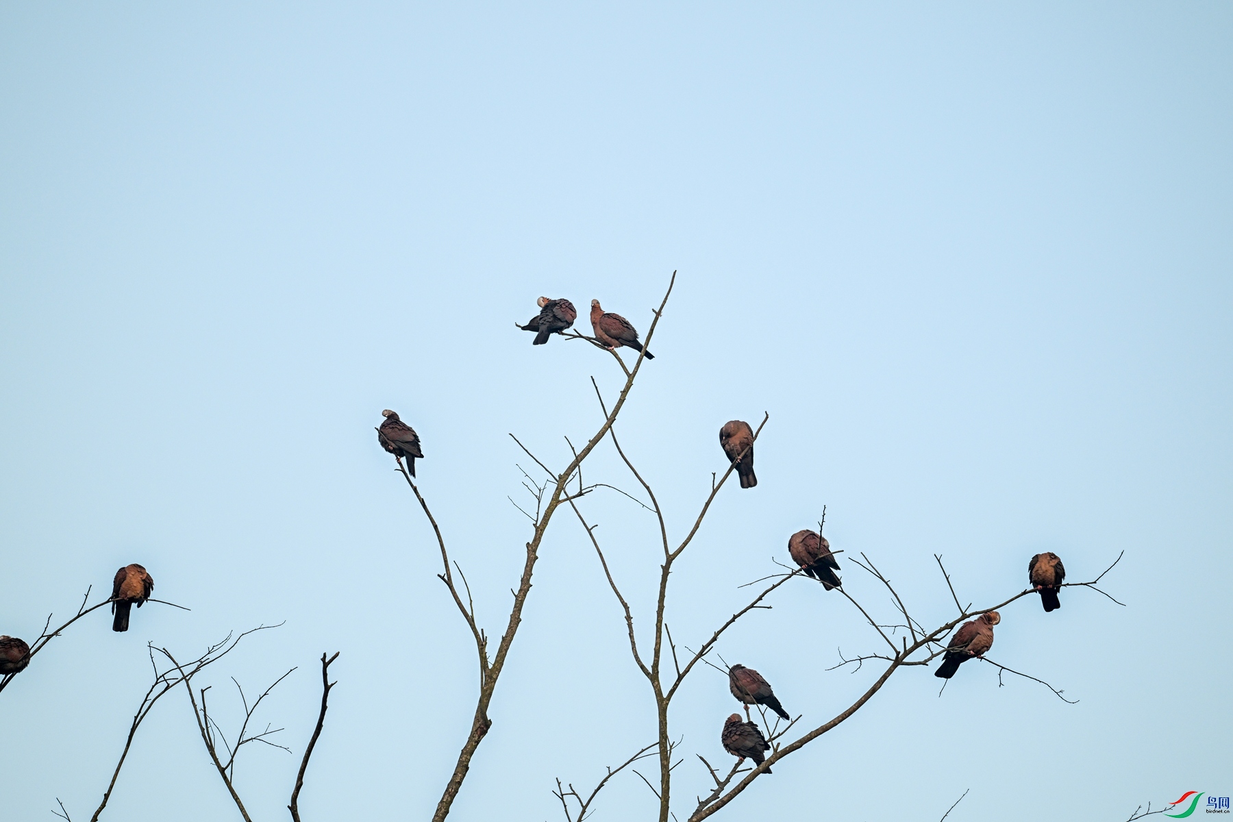 DSC_6038.JPG