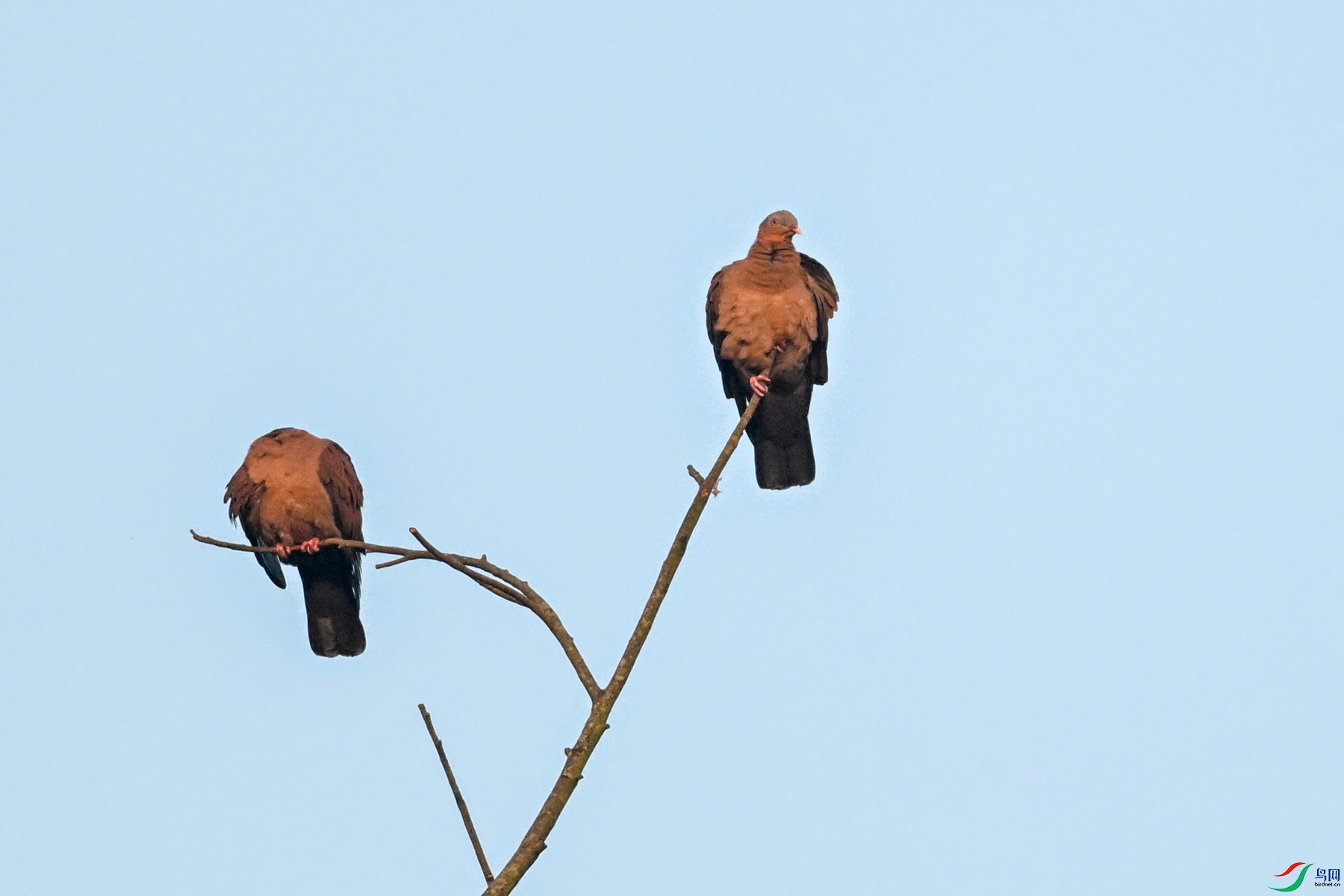 DSC_6049.JPG