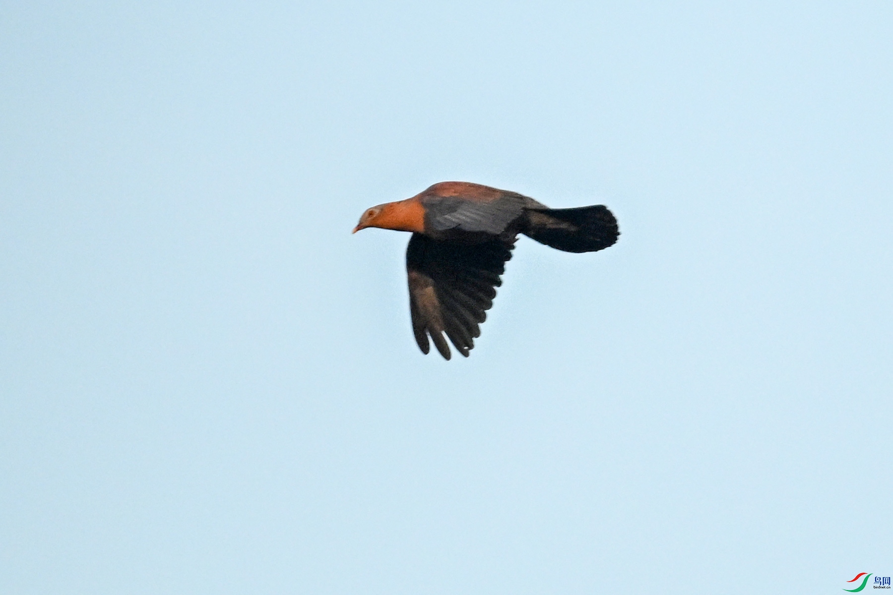 DSC_6052.JPG