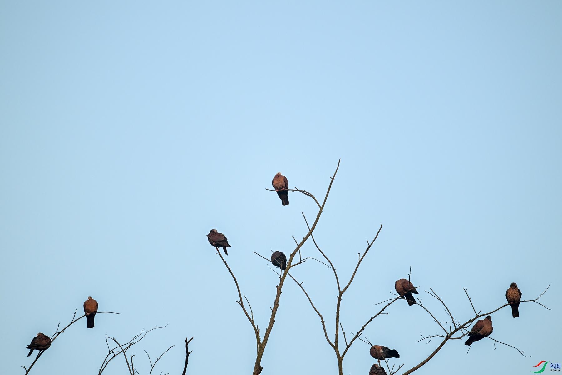 DSC_6043.JPG