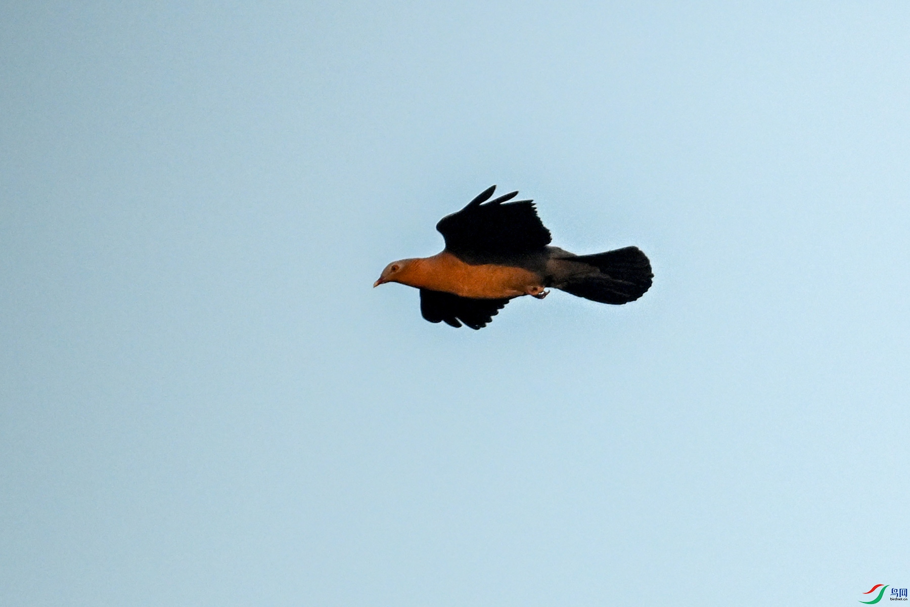 DSC_6054.JPG