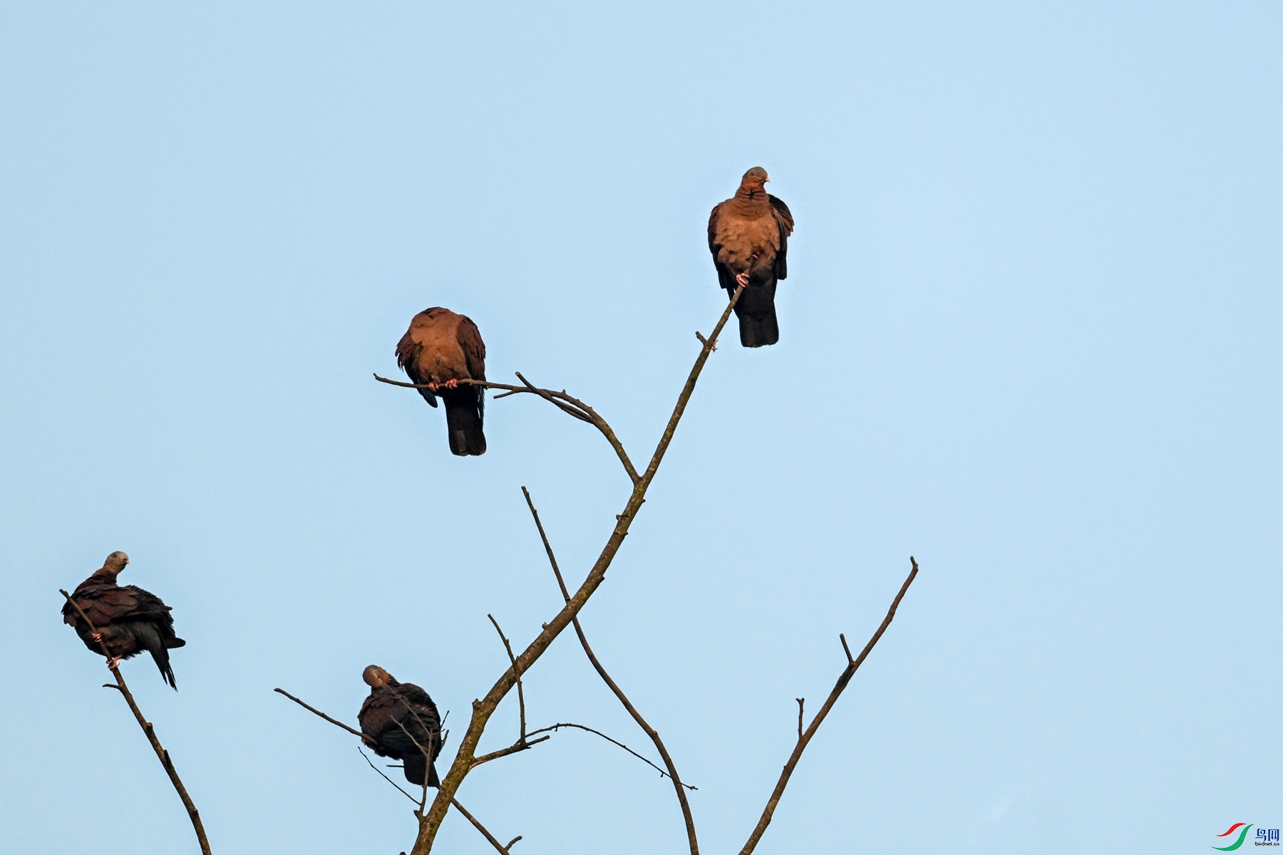 DSC_6050.JPG