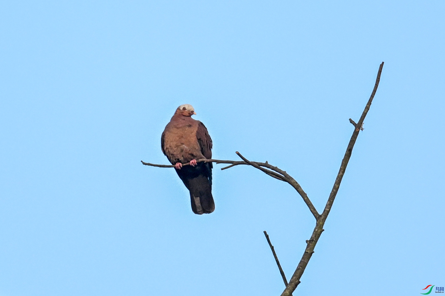 DSC_6055.JPG