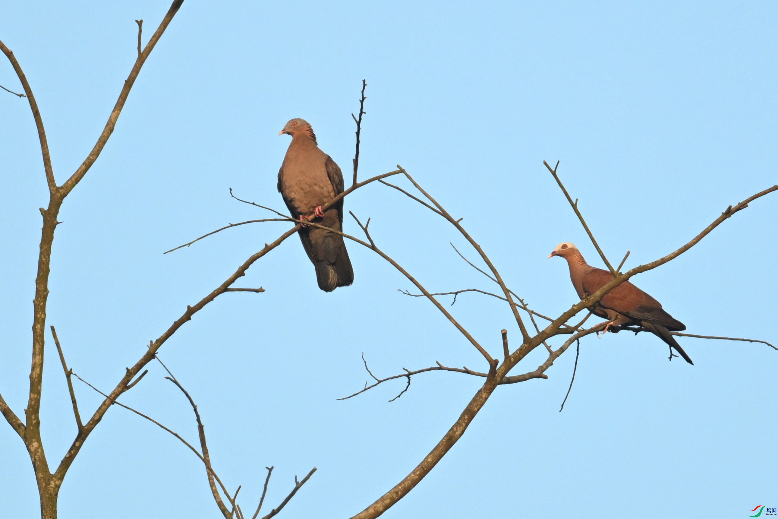 DSC_6074.JPG