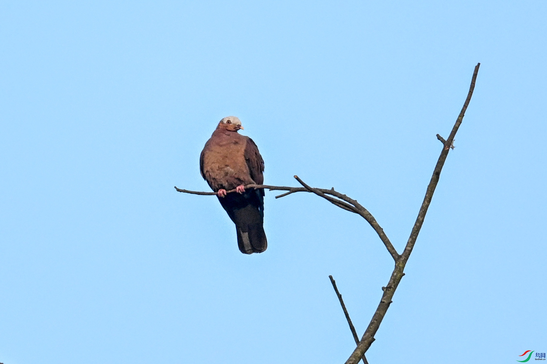 DSC_6058.JPG