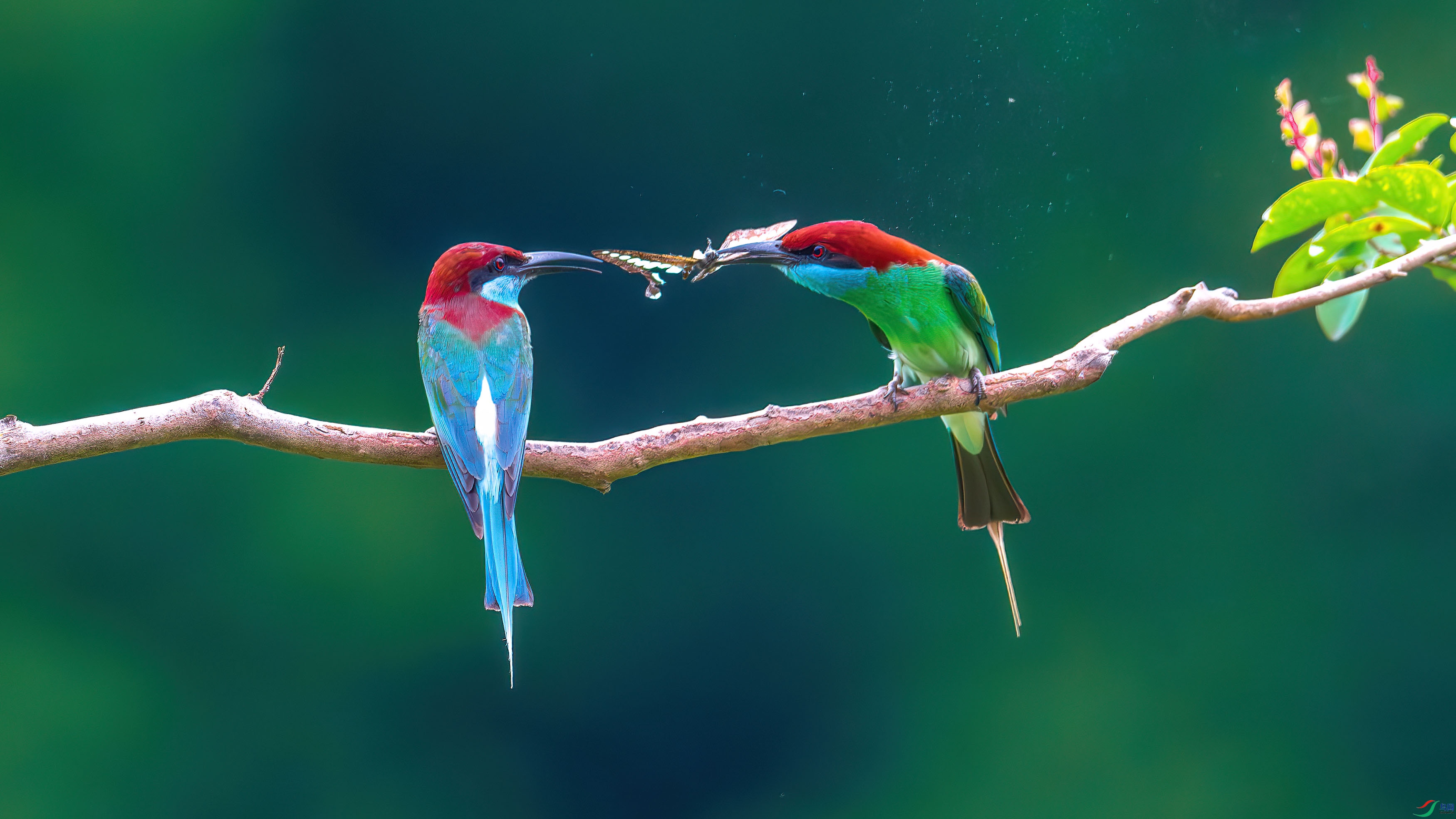 DSC_8438-����ǿ-NR.jpg