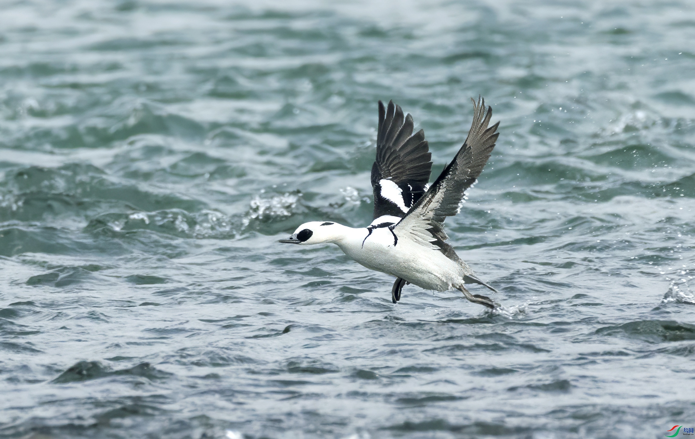 5N9A1390 ���� 2.jpg