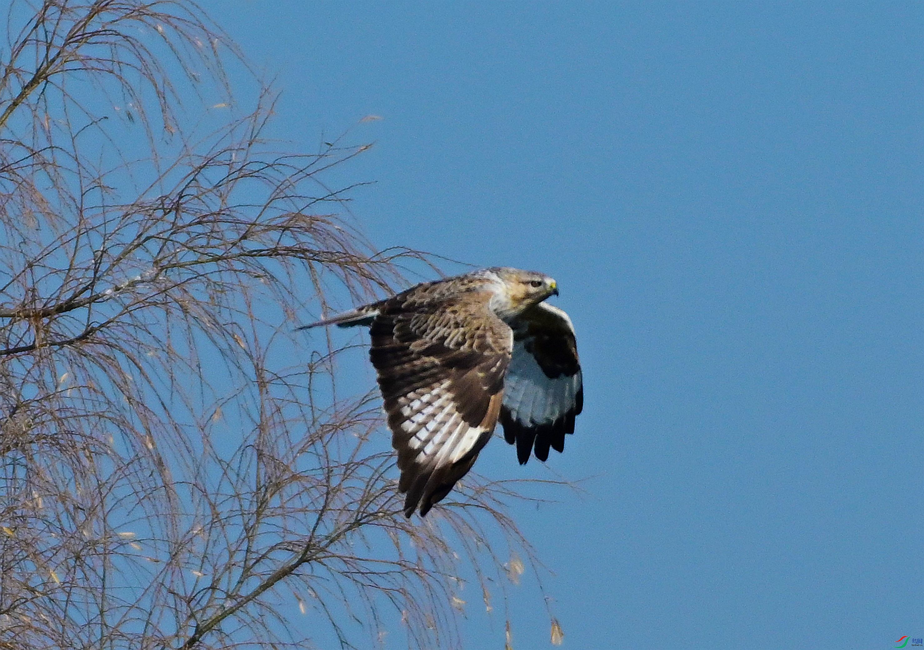 DSC_3631.JPG