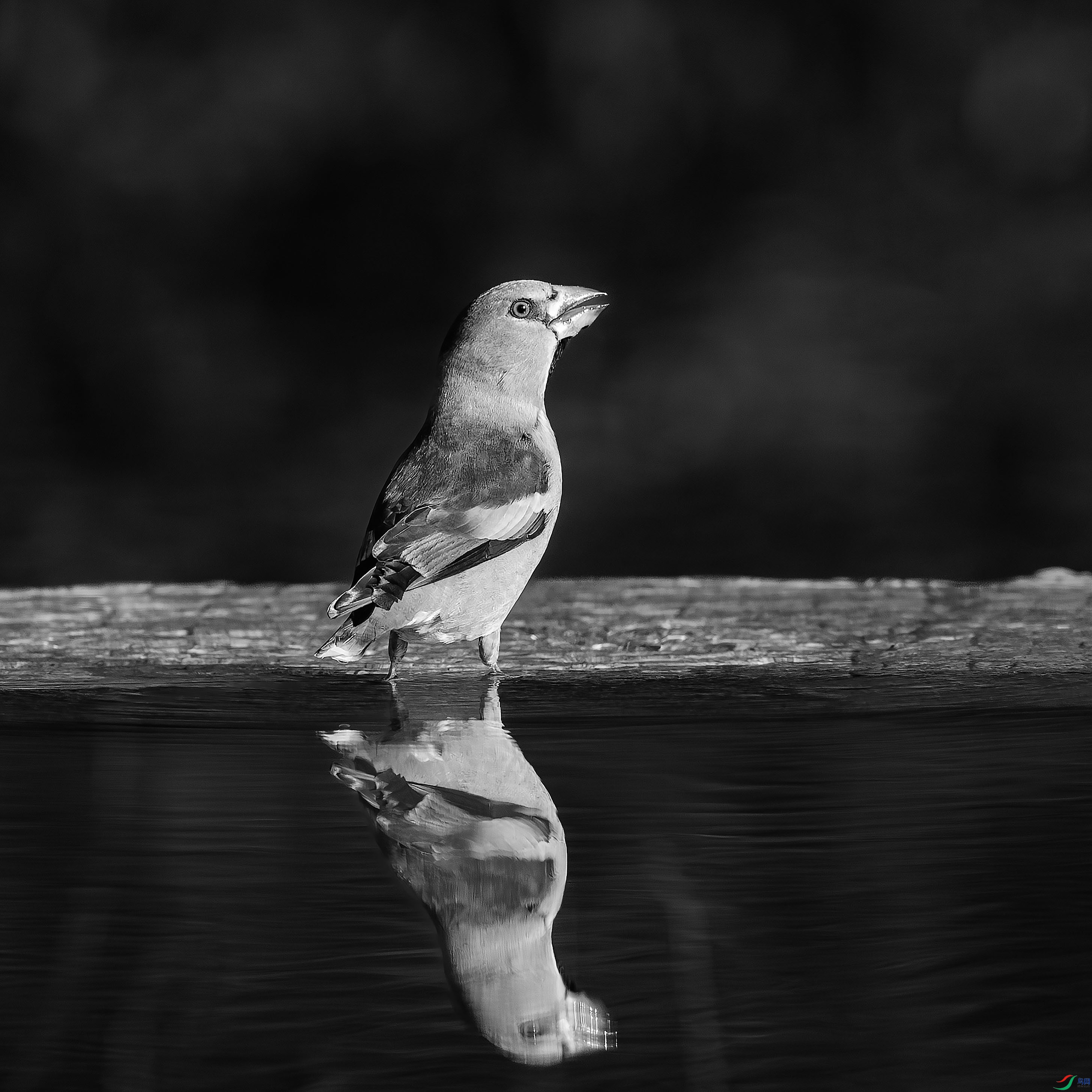 0120����ȸ.jpg