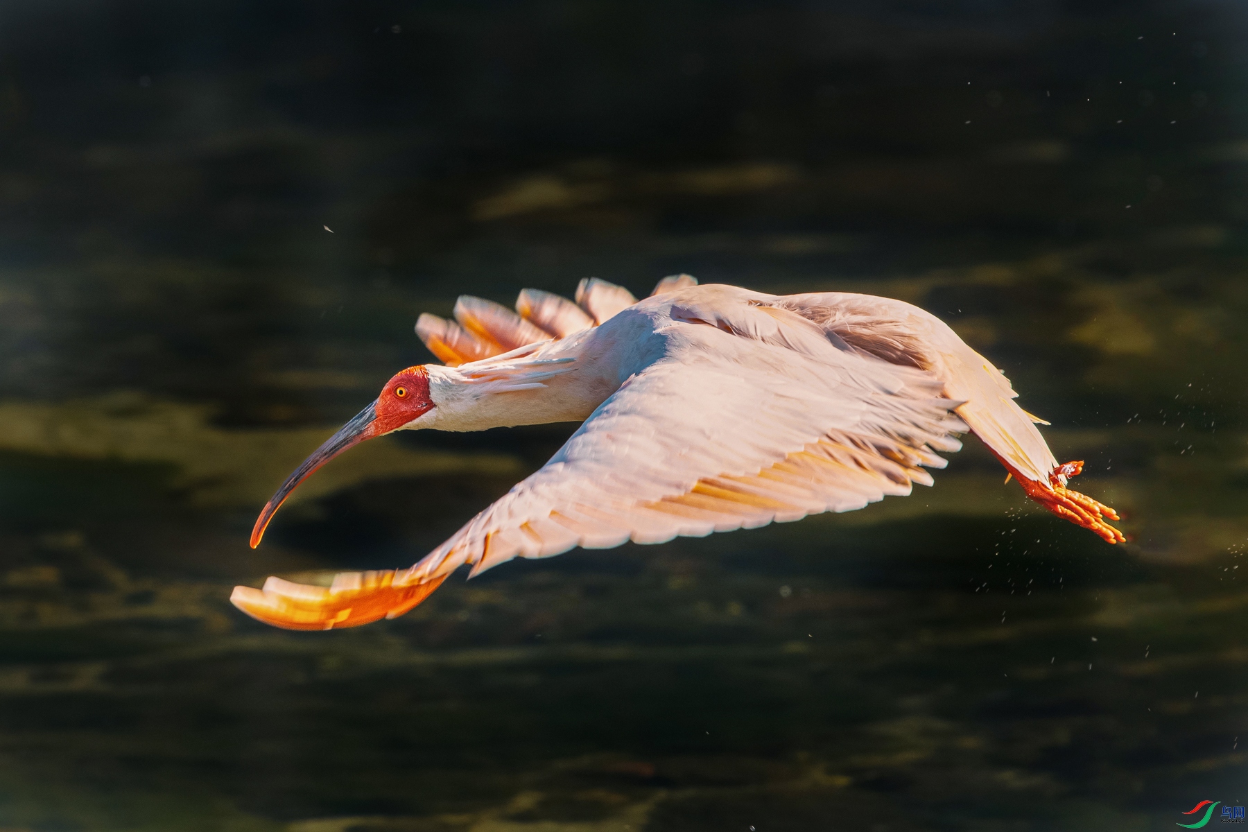 ���q----��Խɽ��Ϫˮ