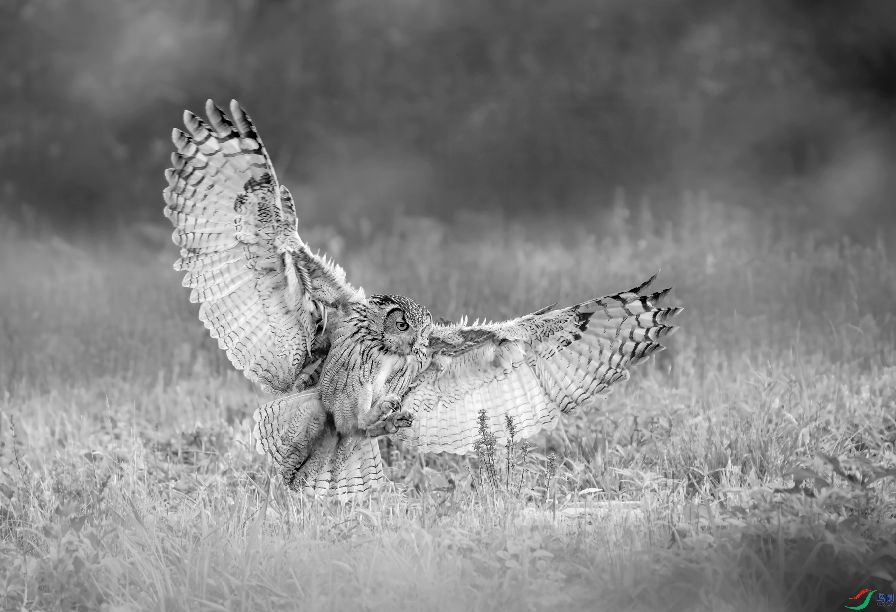 DSC01390 ����_����.jpg