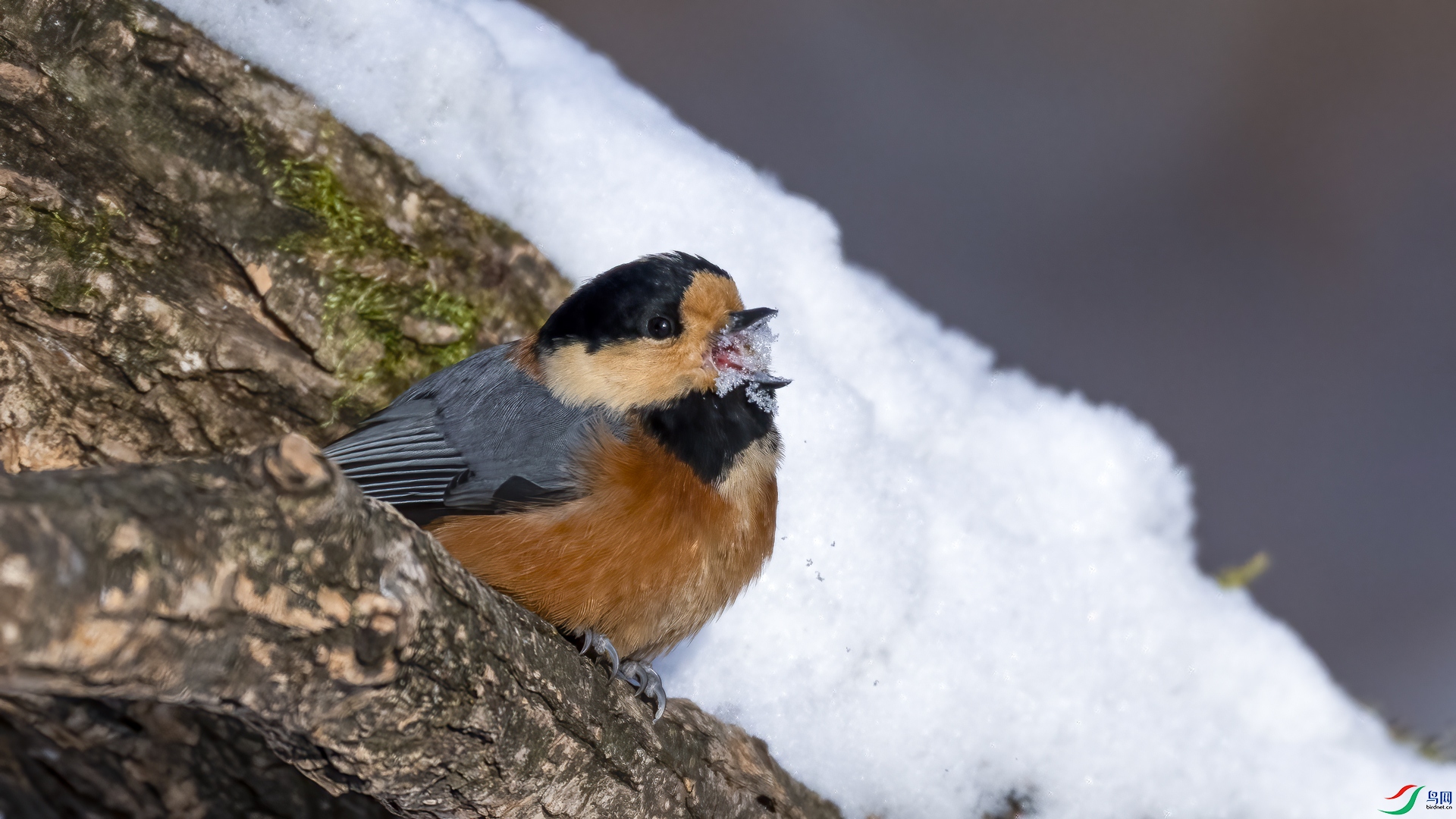 _DSC2662.jpg