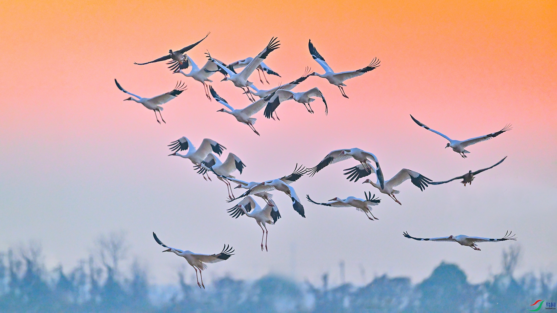 XHH_2767 ���� 2.jpg