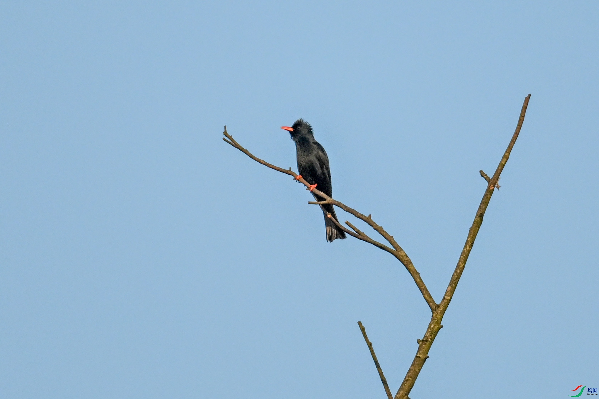 DSC_6101.JPG