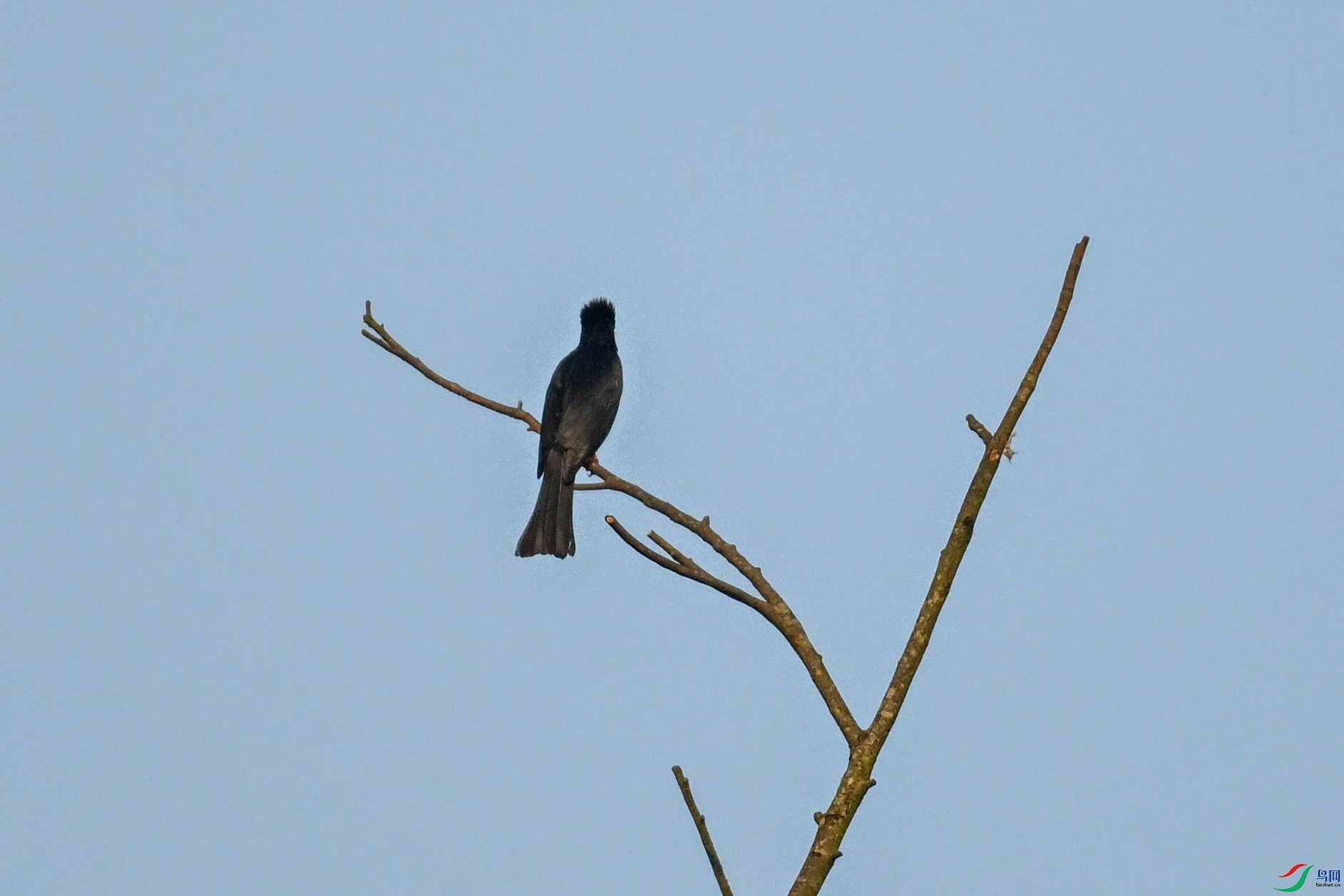 DSC_6094.JPG