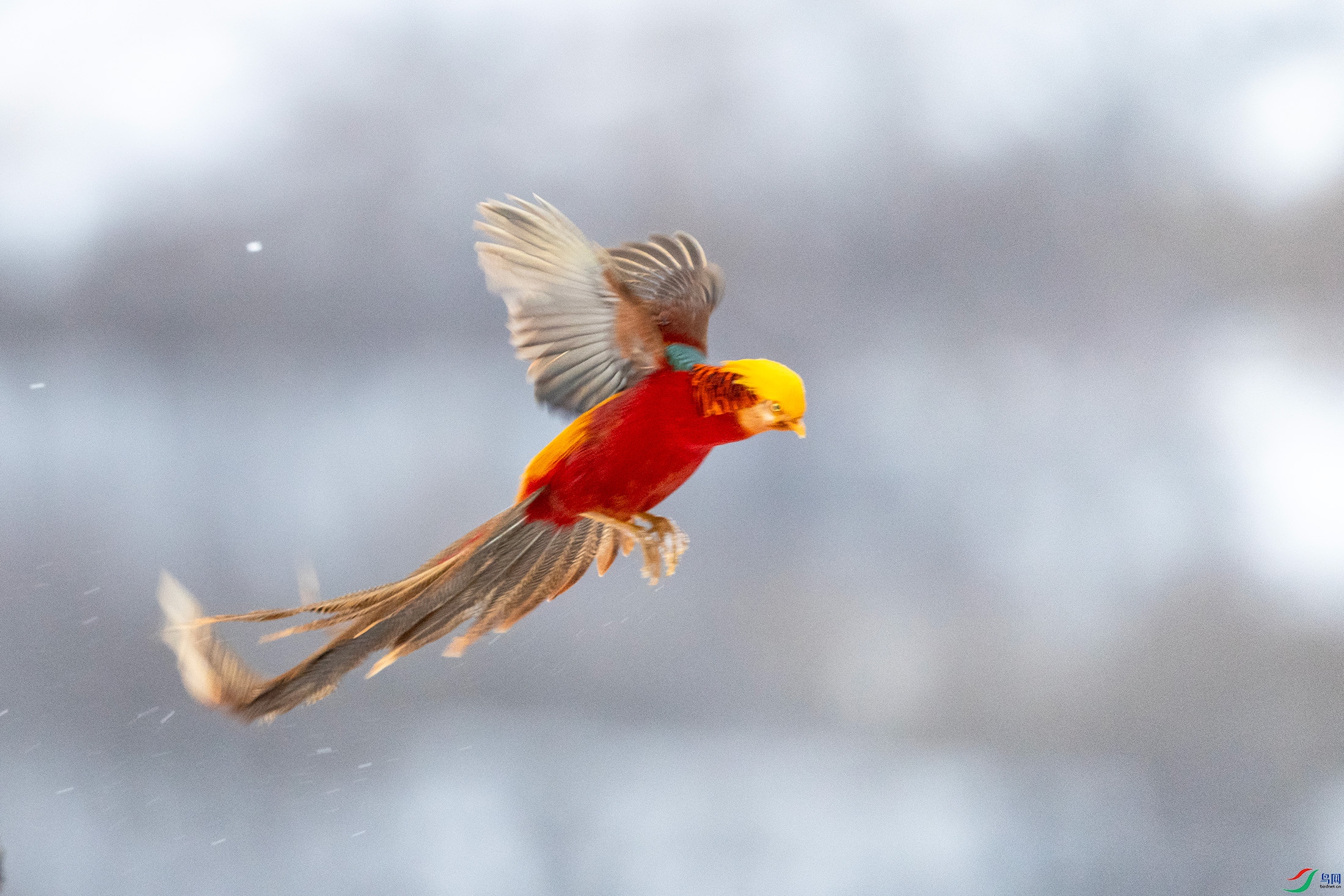 IMG_6196 ����.jpg