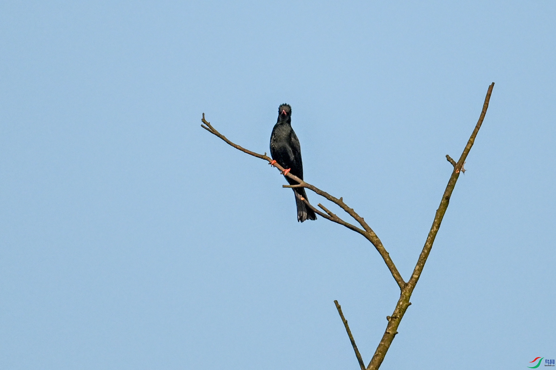 DSC_6096.JPG