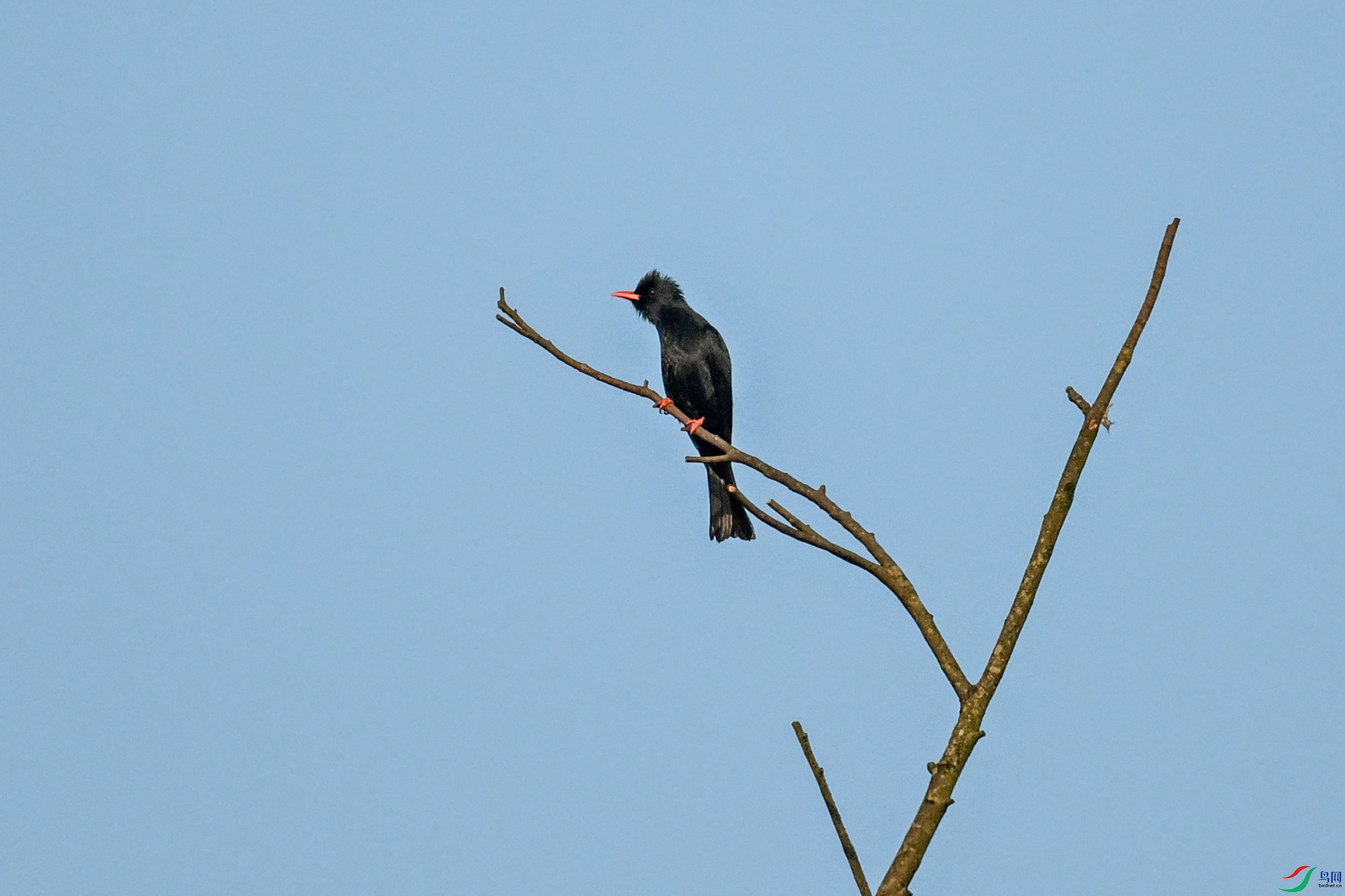 DSC_6098.JPG