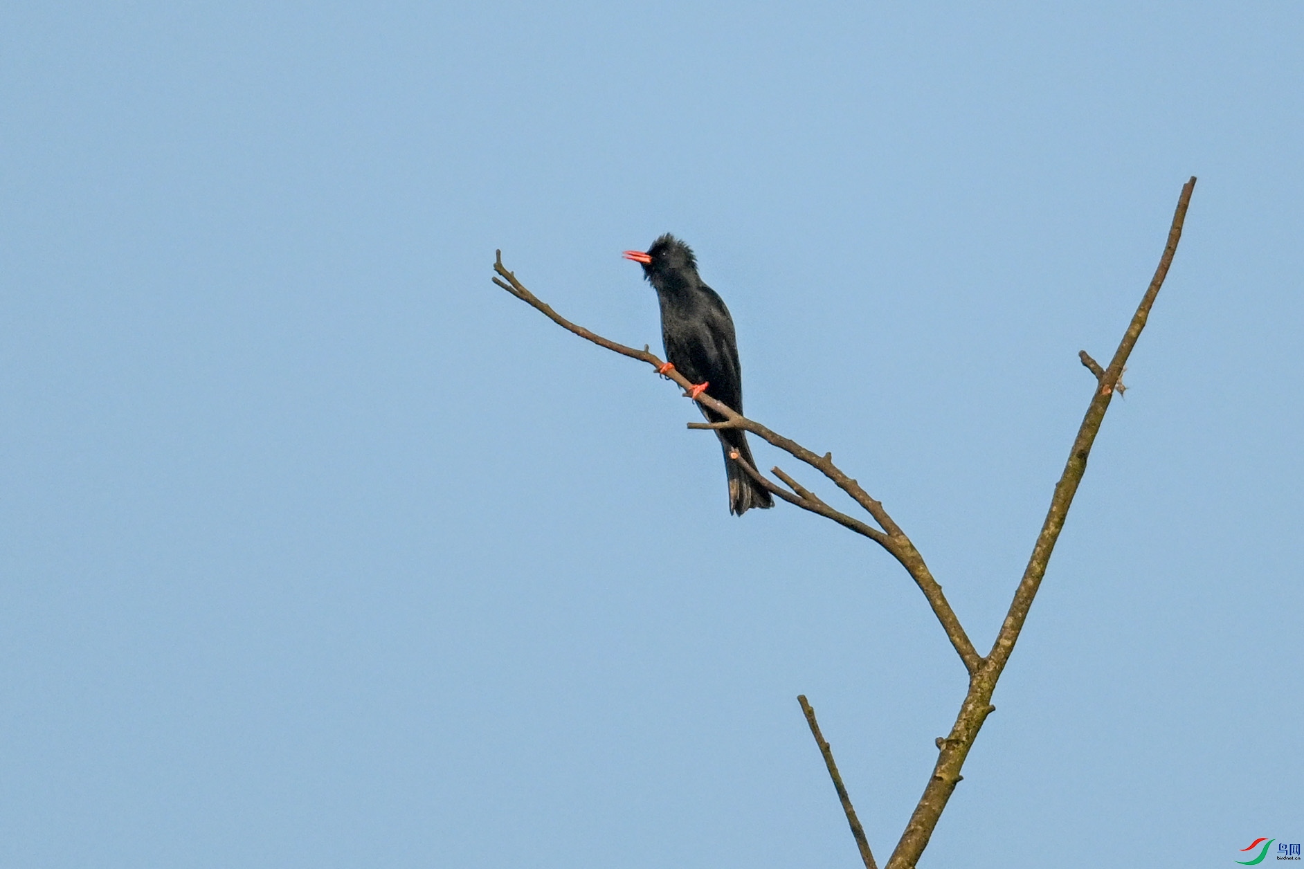 DSC_6100.JPG