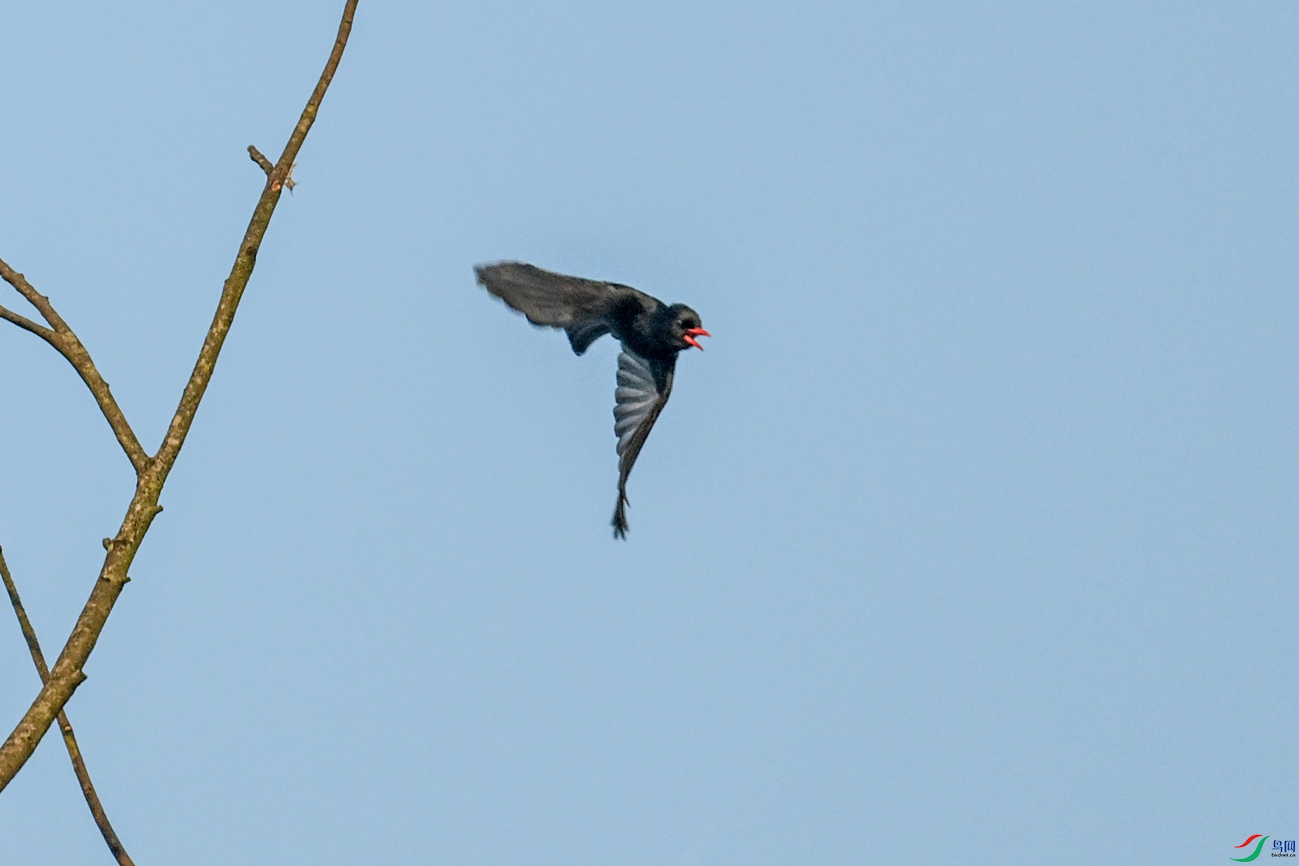 DSC_6102.JPG