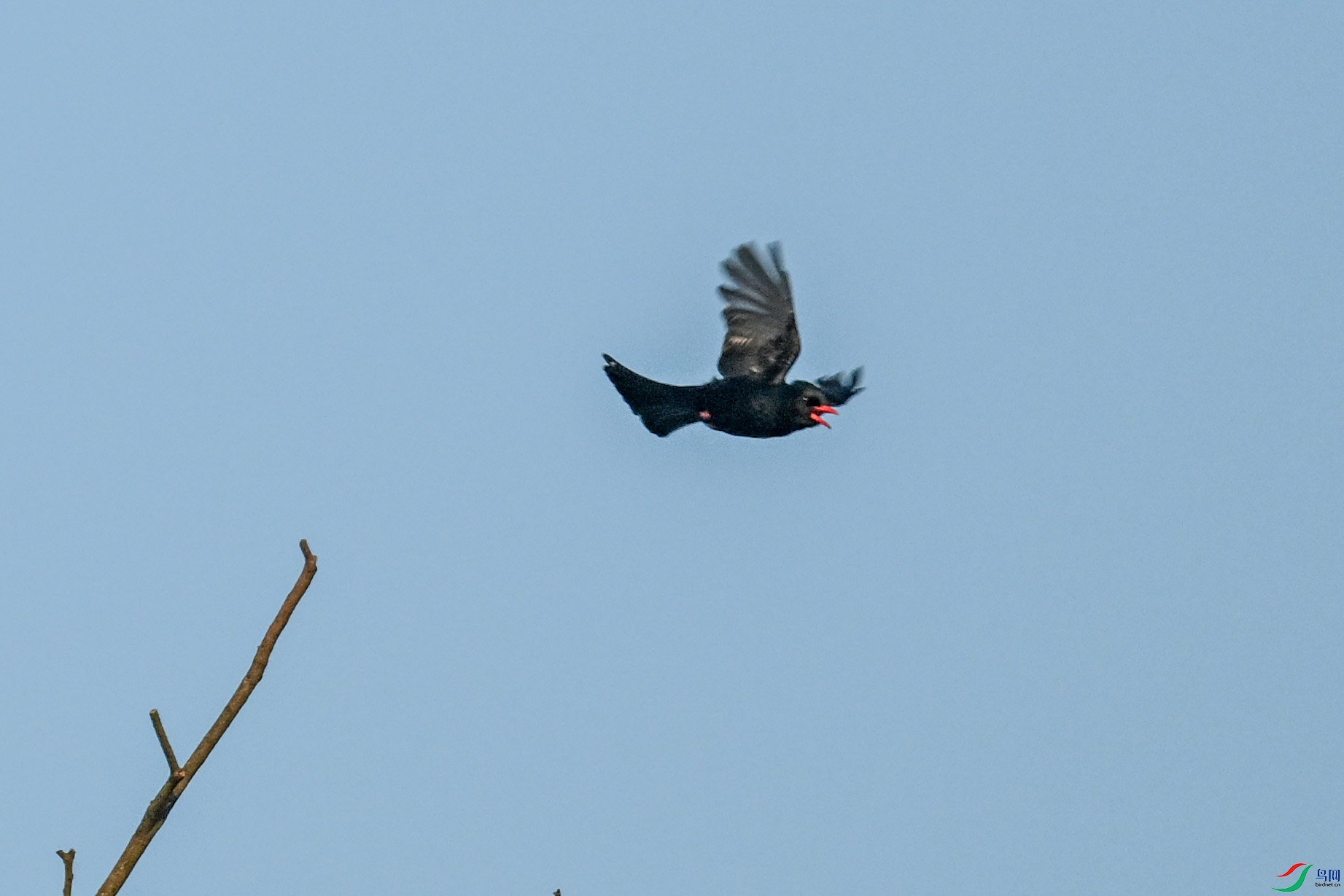 DSC_6104.JPG