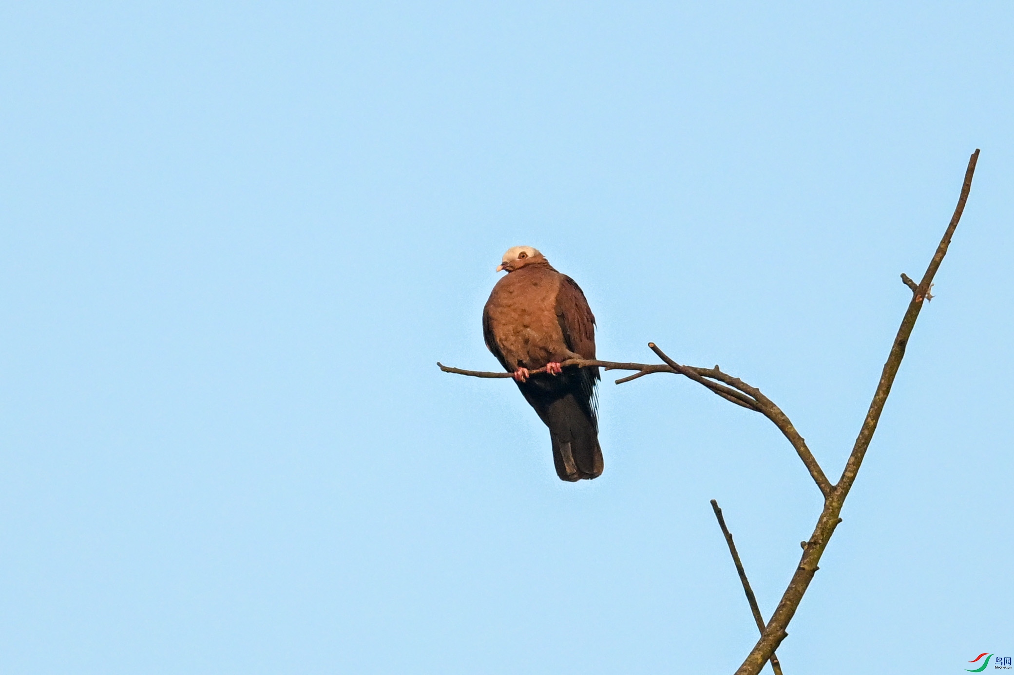 DSC_6063.JPG