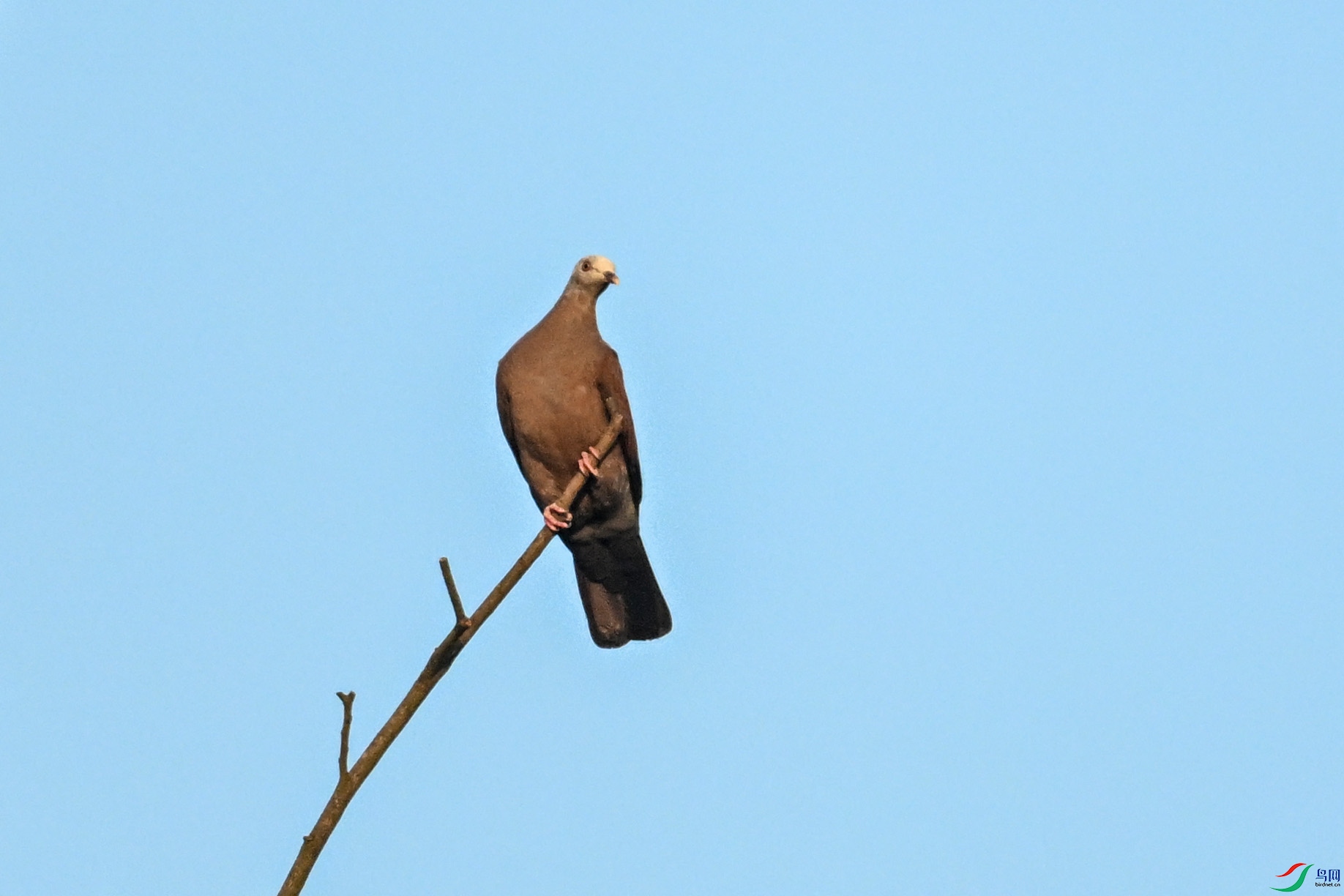 DSC_6080.JPG