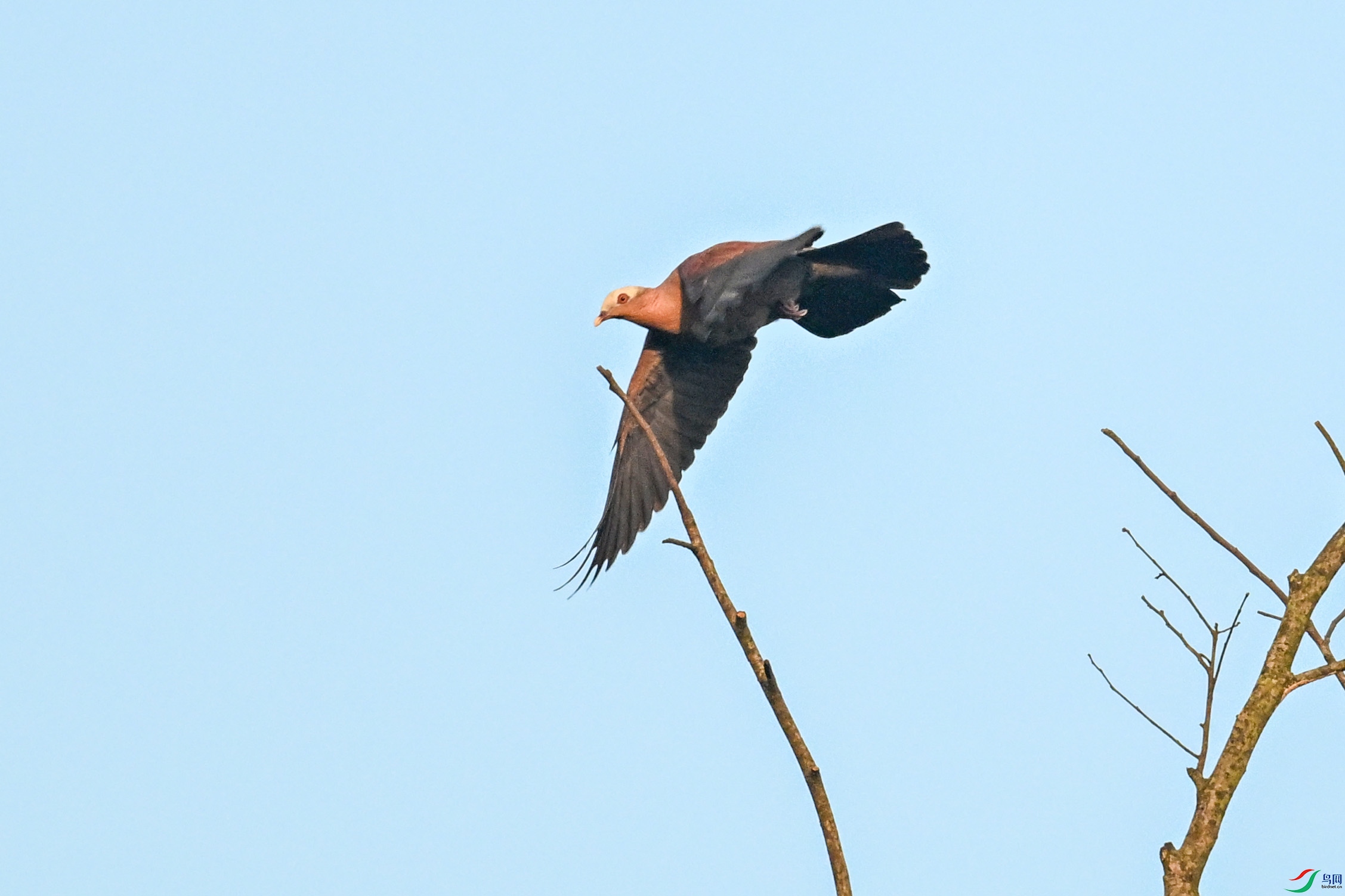 DSC_6065.JPG