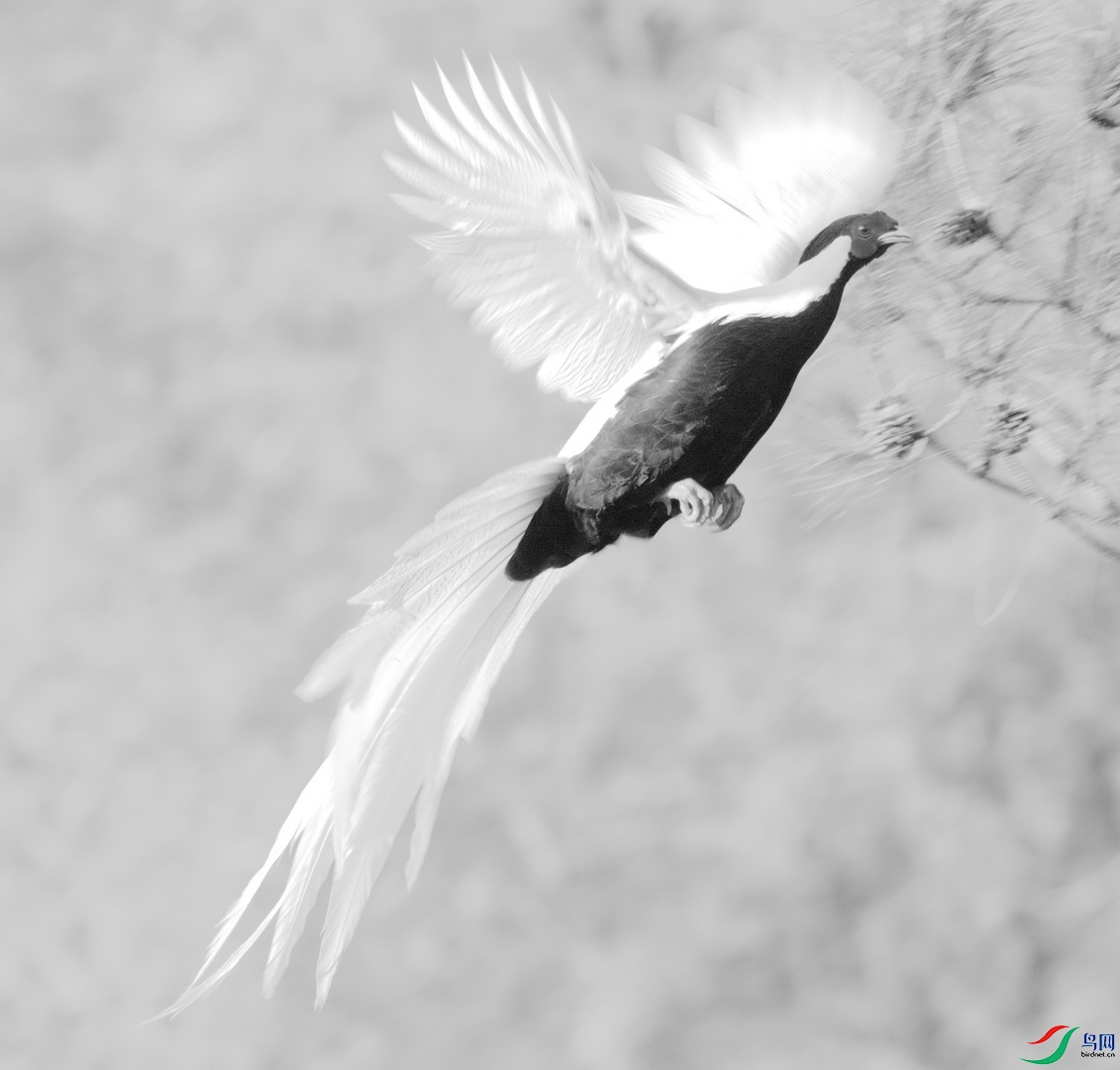 _DSC1286zb_������С.jpg