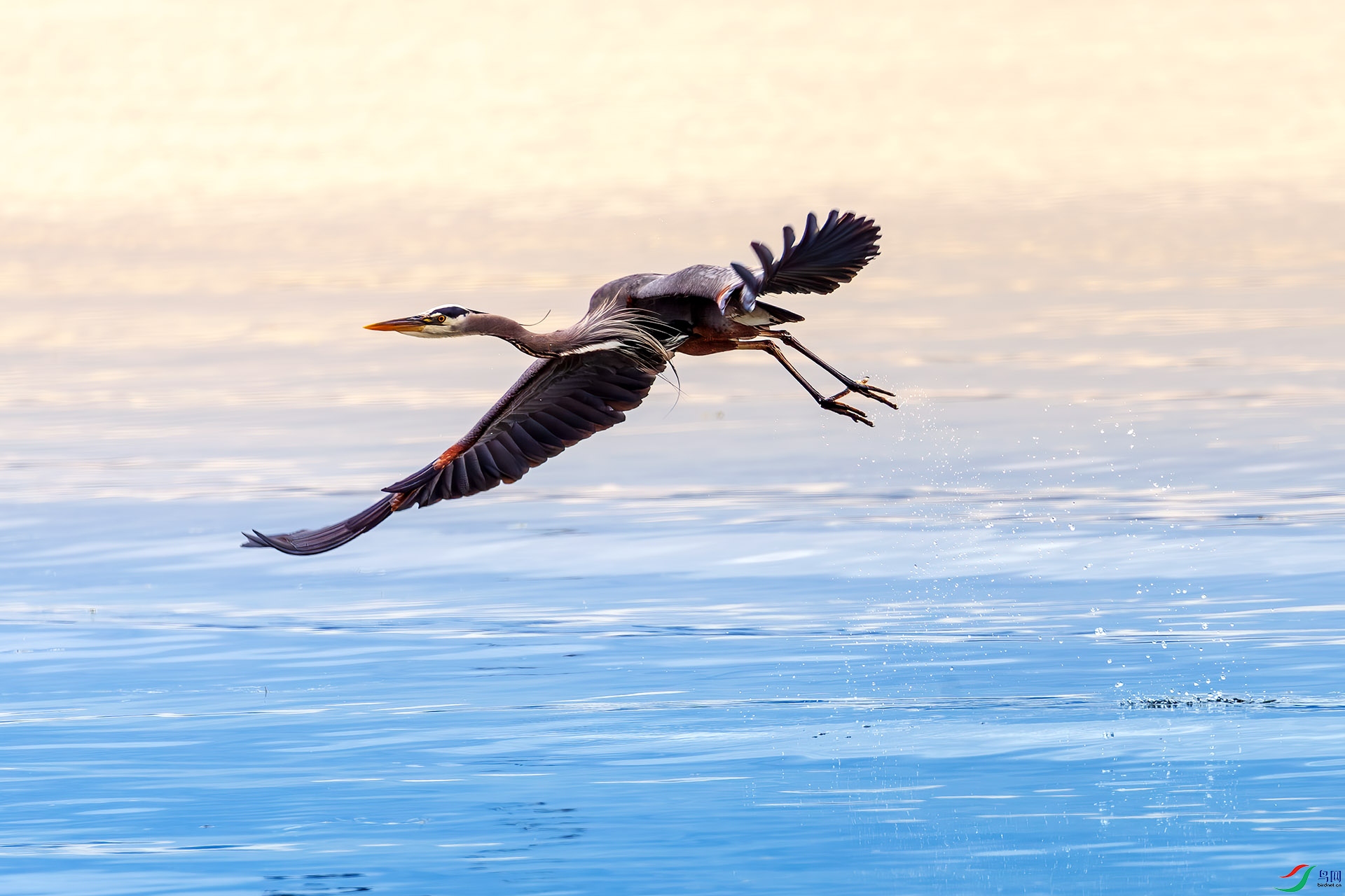 ������ 1.jpg