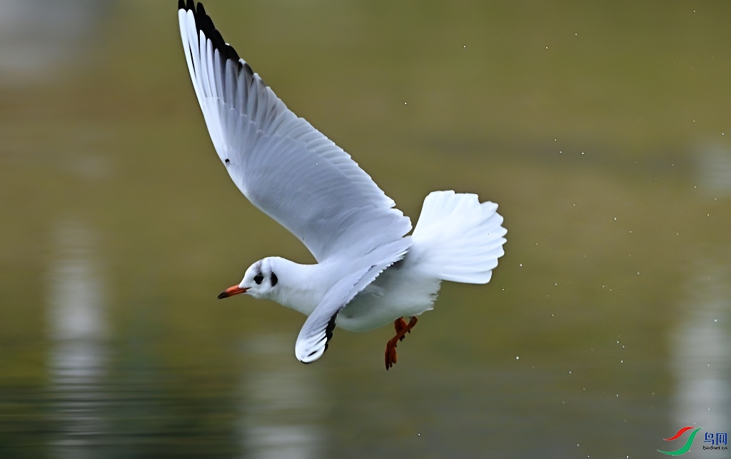 DSC_1812.JPG