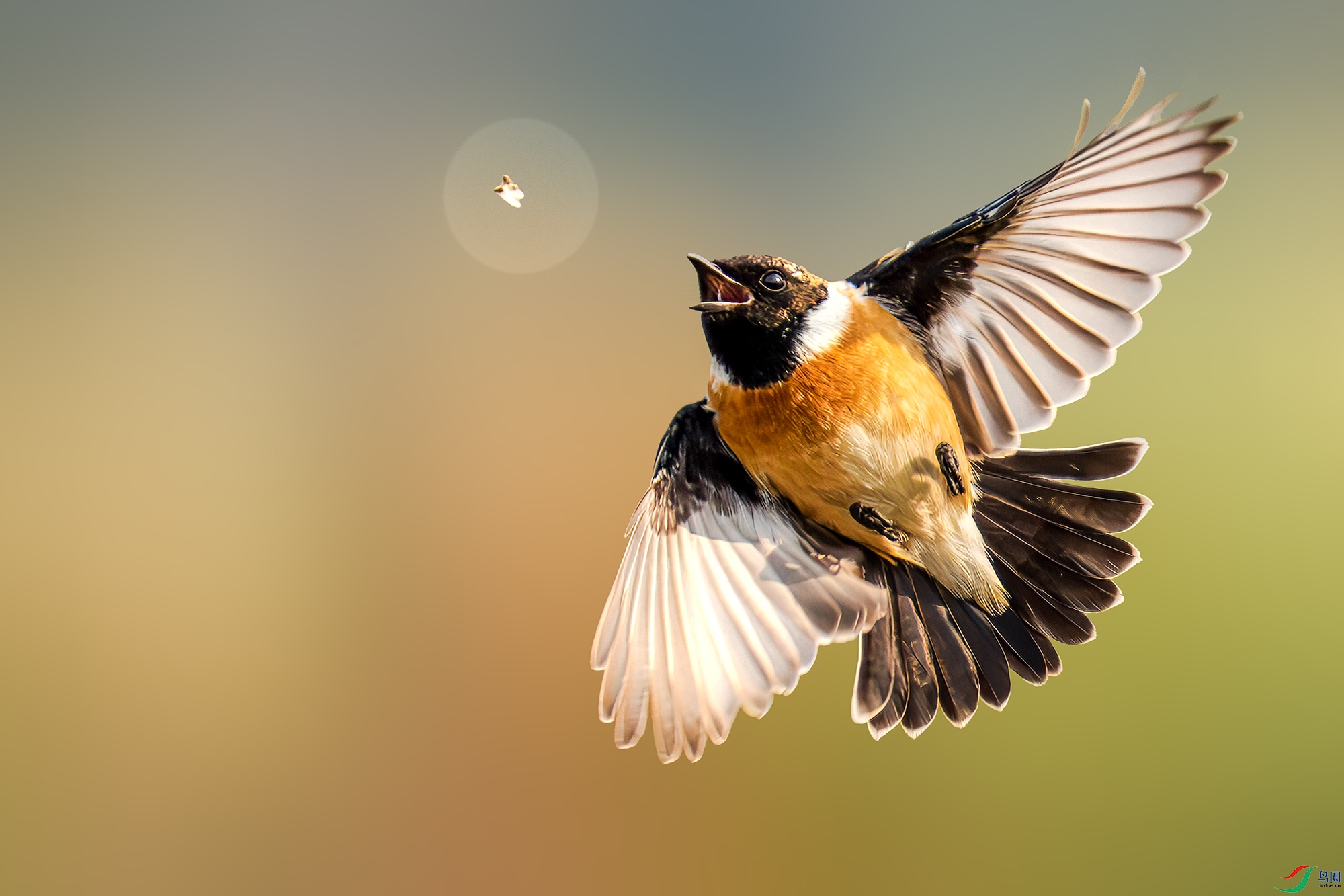 LZW08691 ����.jpg