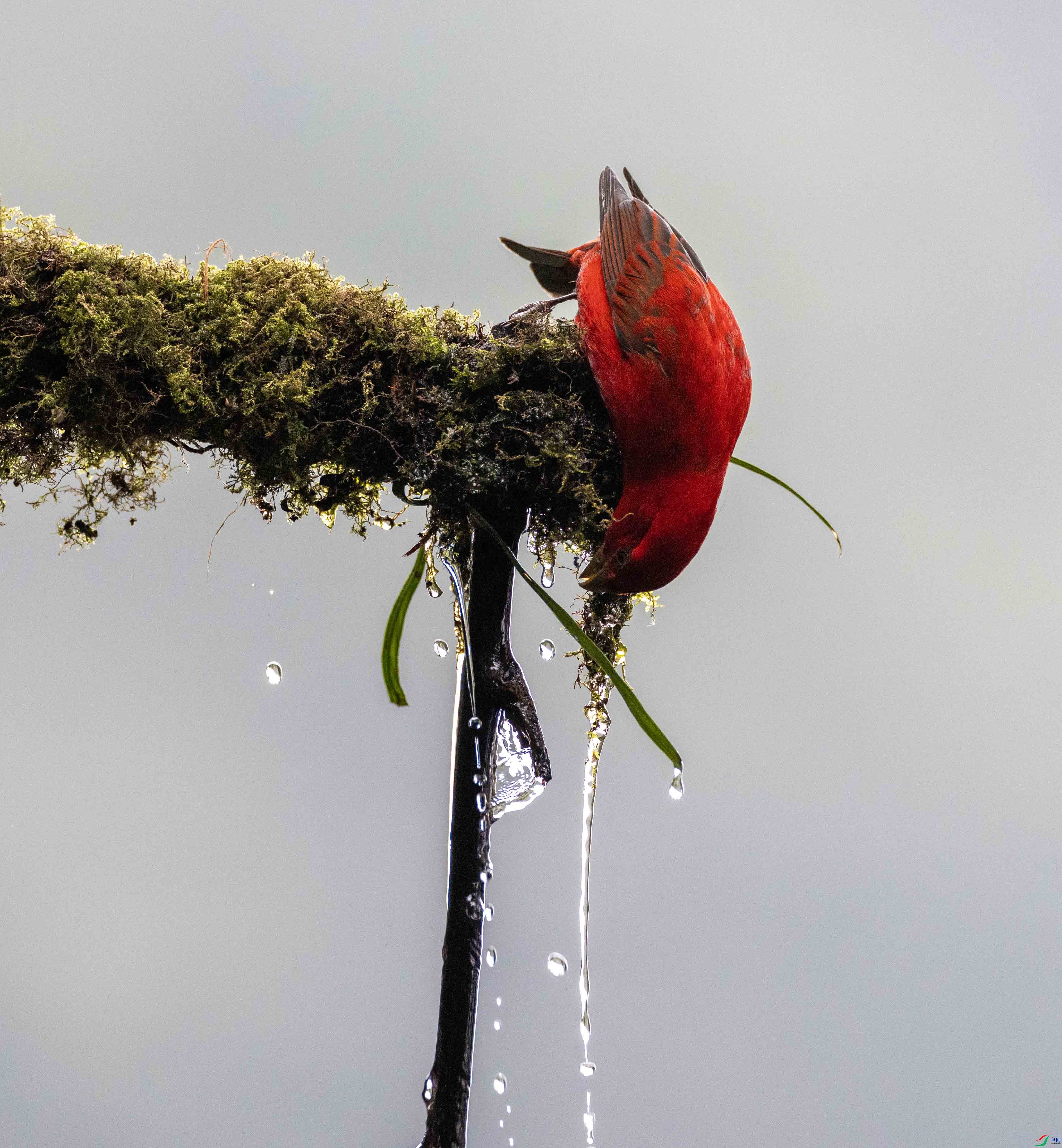 1-xt4L2A8453 ���� 2.jpg