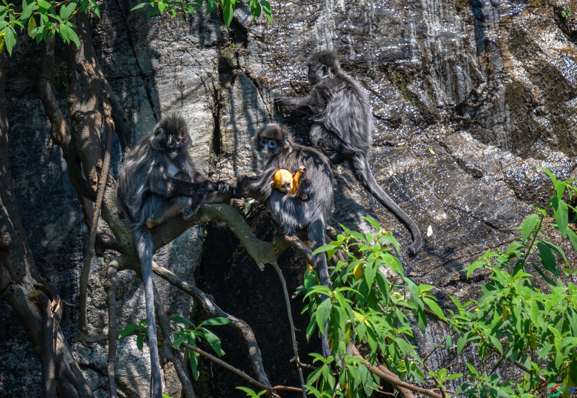 DSC_8139_����.jpg