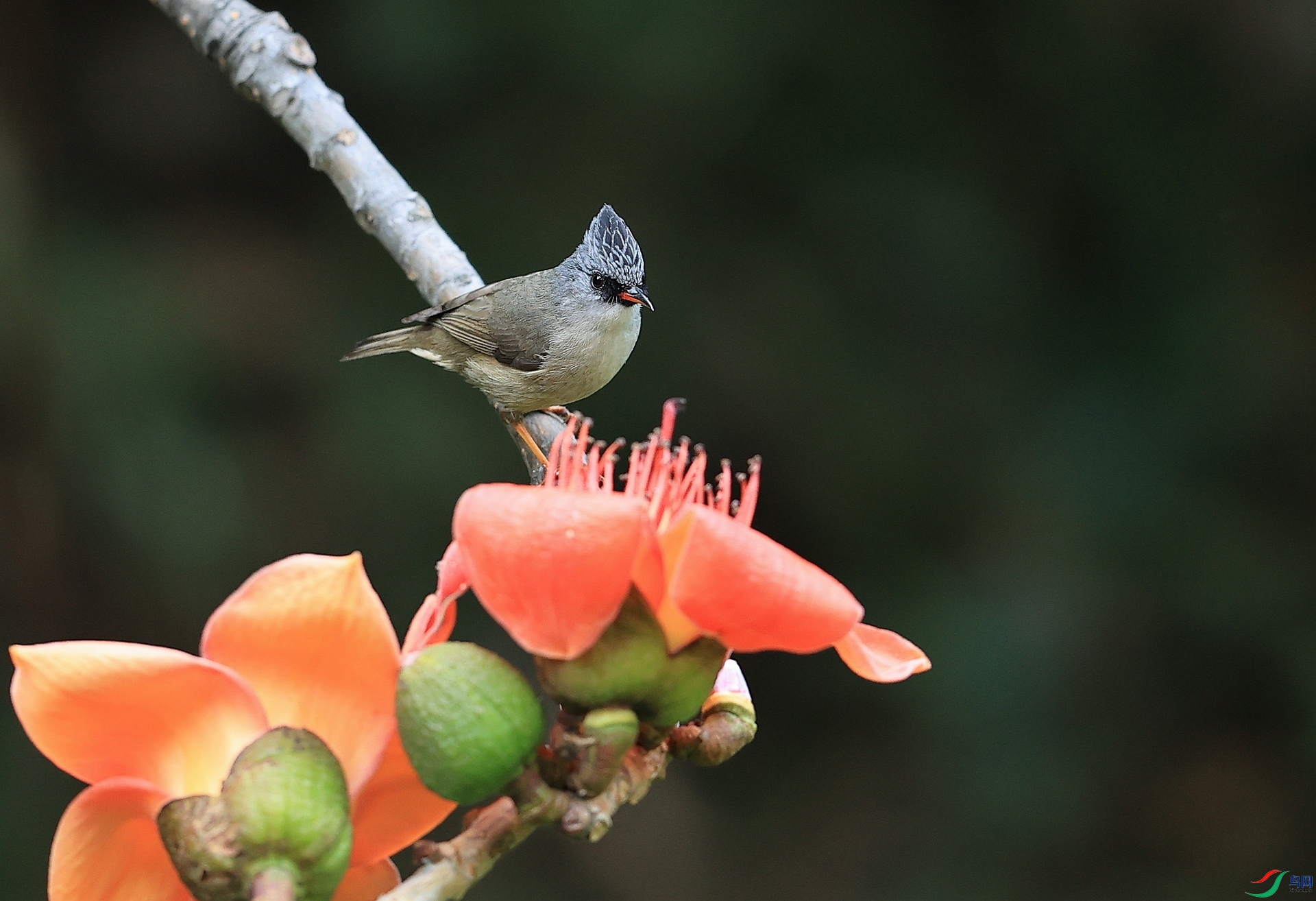 AK1I5430�����