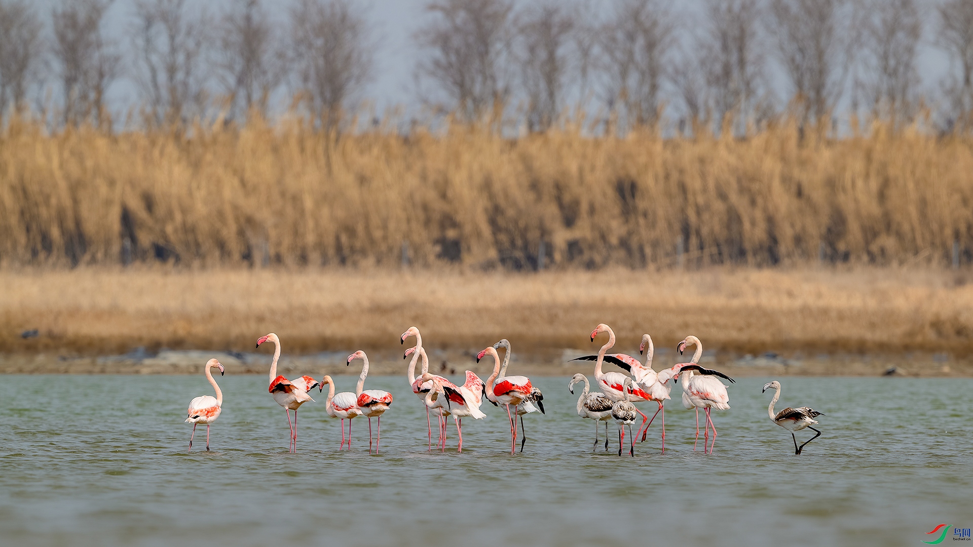 _DSC4670-����ǿ-NR ����С_1.jpg