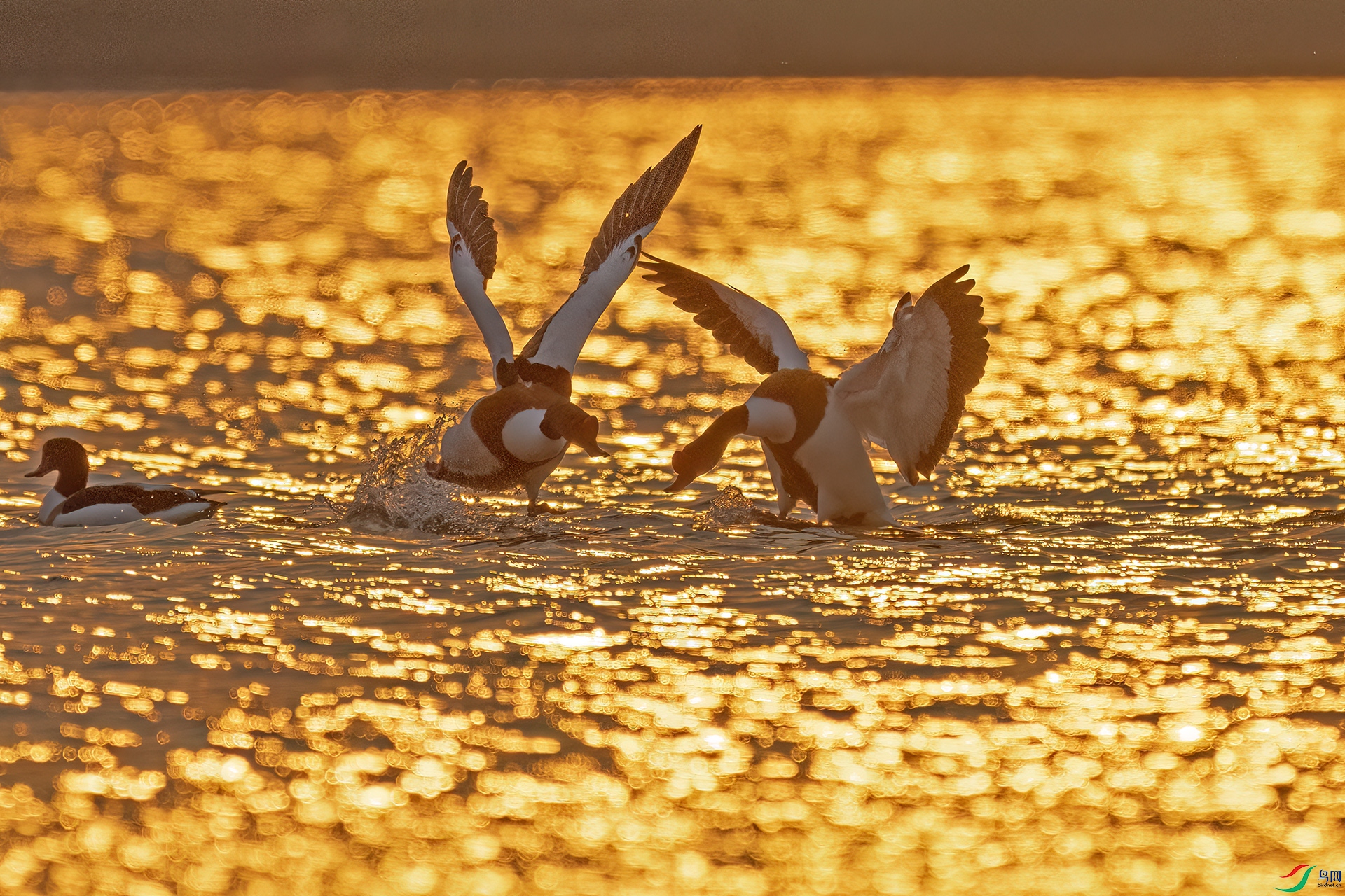 DSC_9057 ����2.jpg