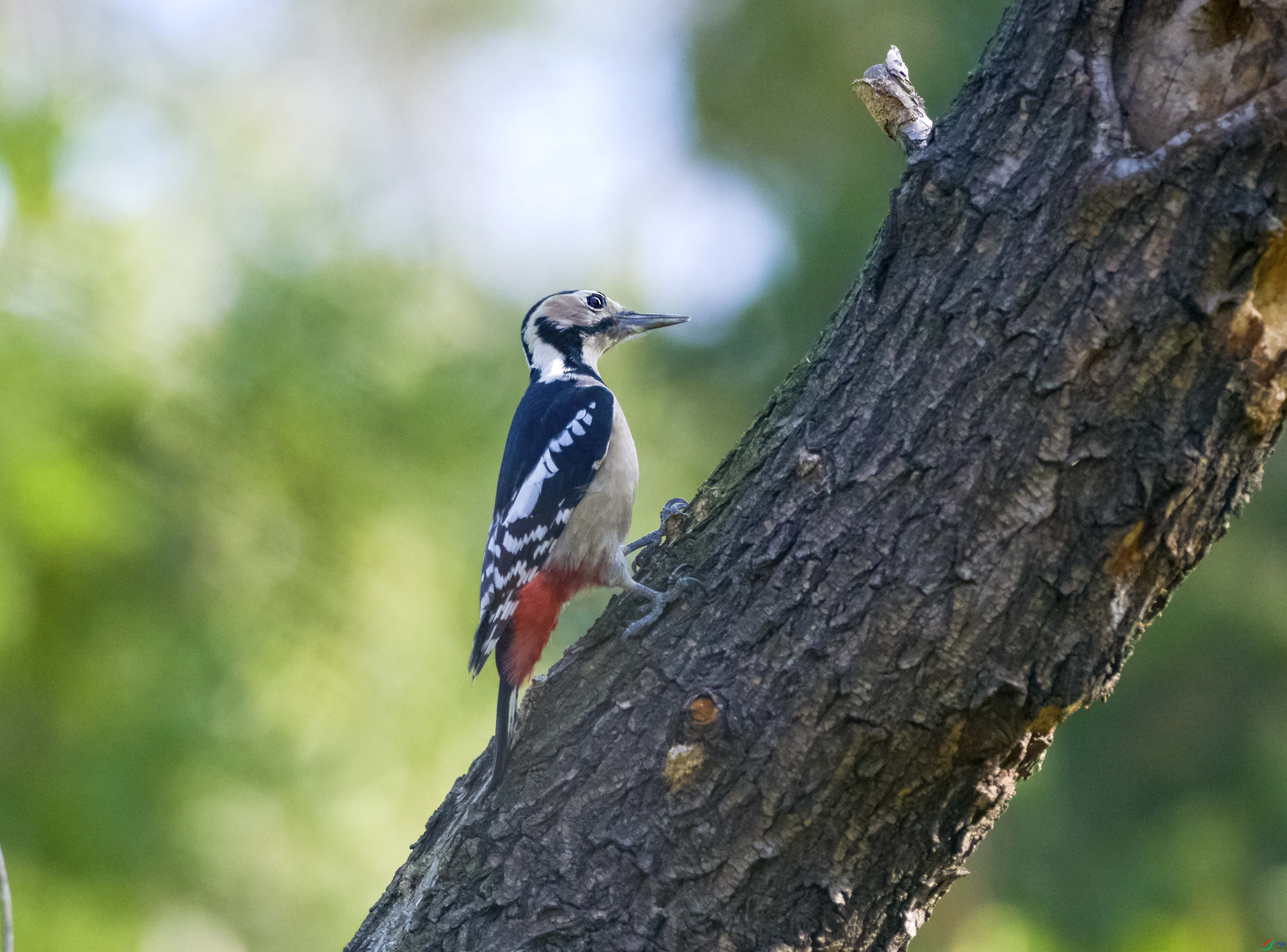 DSC_7628.jpg