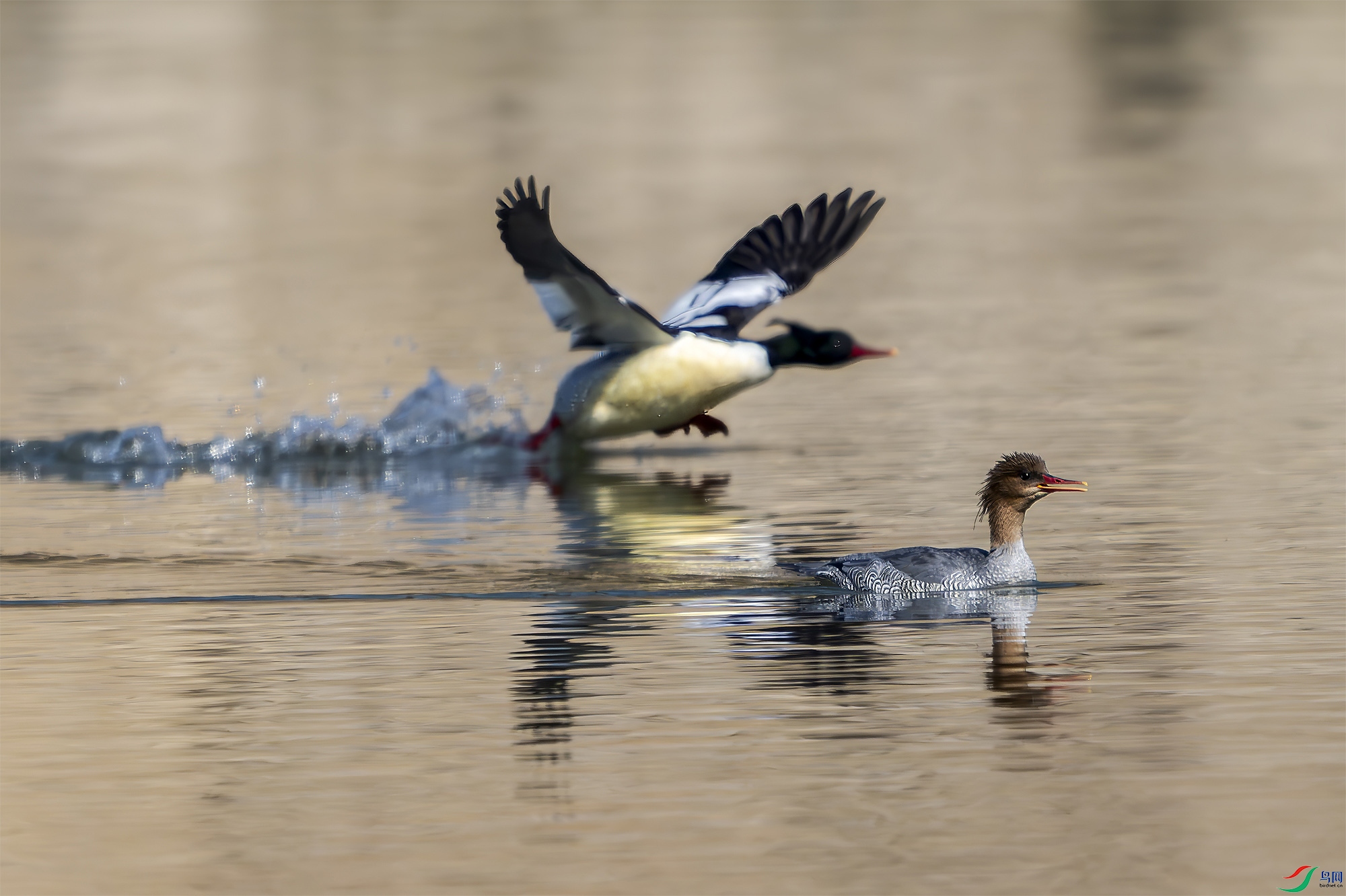 _DSC6307 ���� 2.jpg