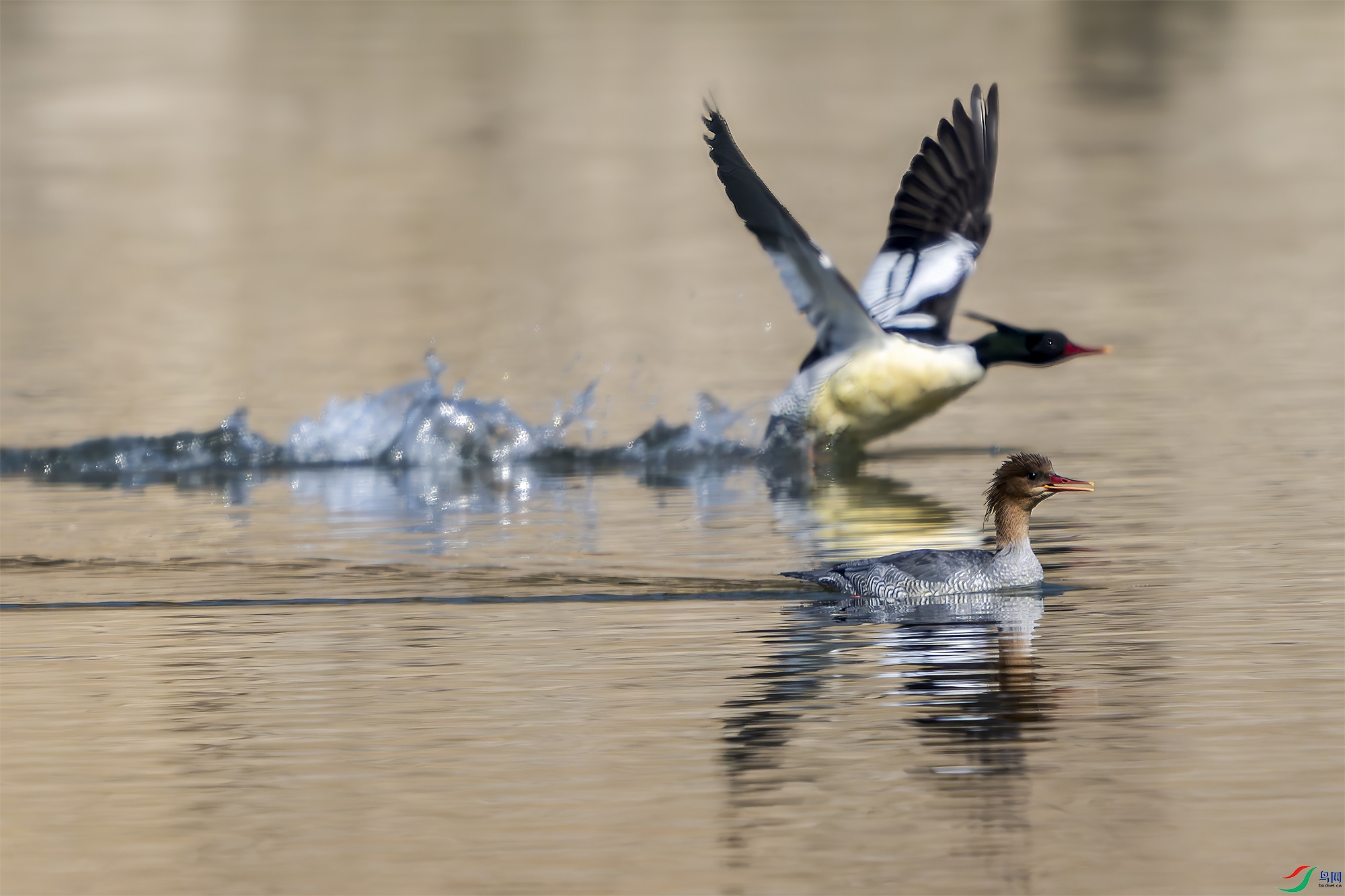 _DSC6309 ���� 2.jpg