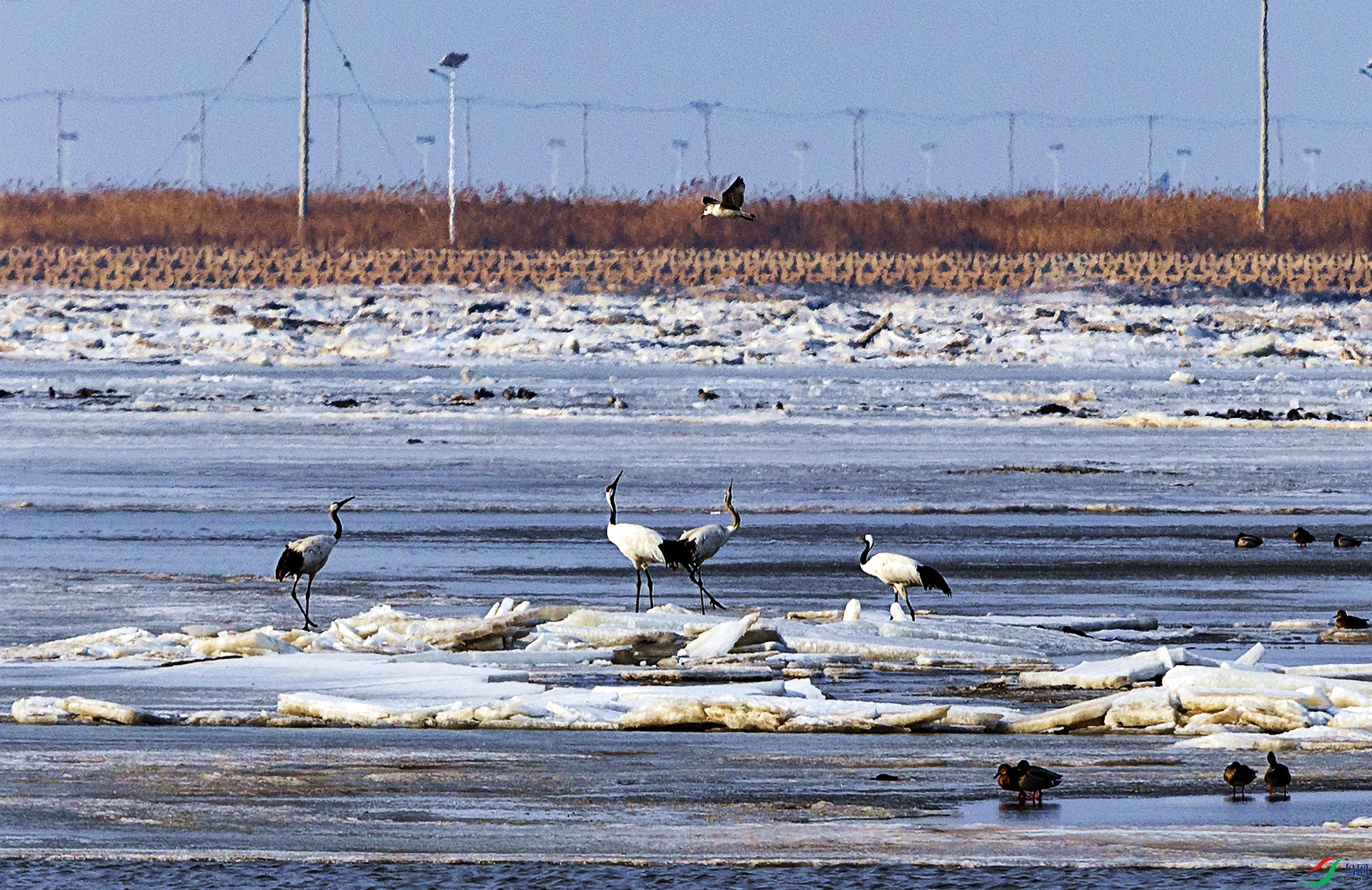 ���պ� (8).jpg