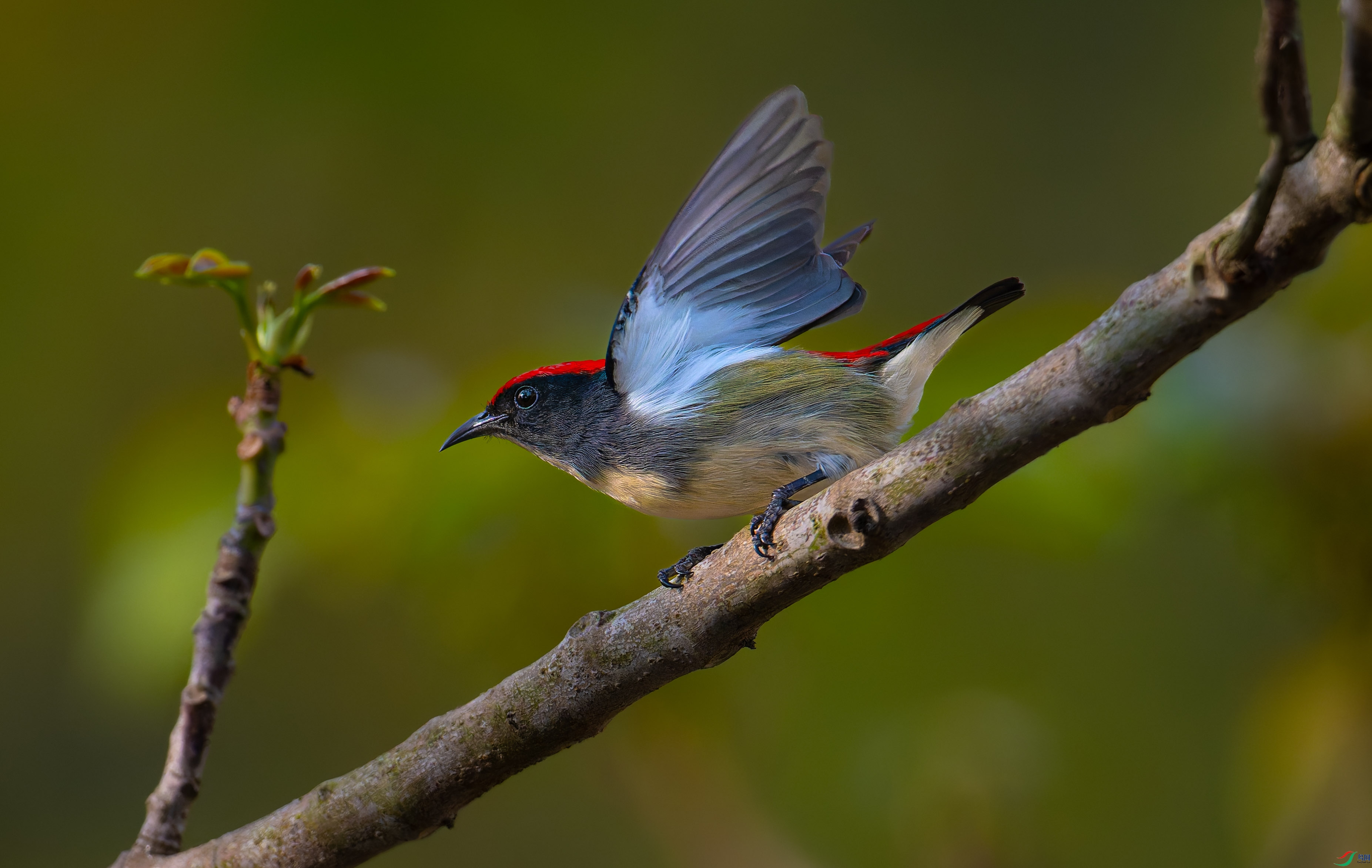 DSC_4482-DxO_DeepPRIME XD2s-2.jpg